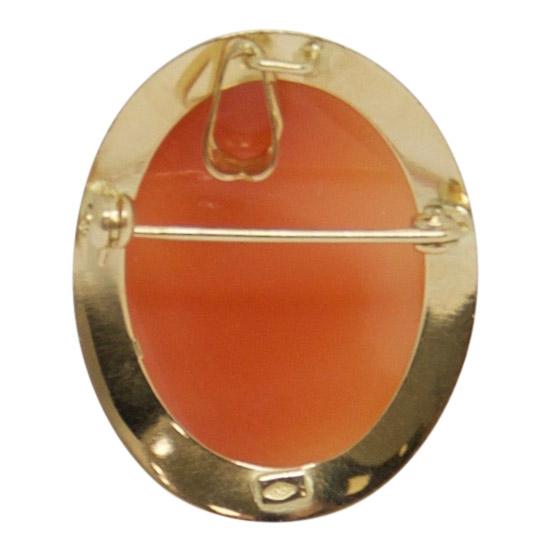 Antique Cameo Brooch/Pendant