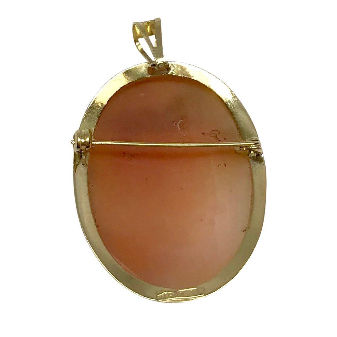 Antique Cameo Brooch/Pendant