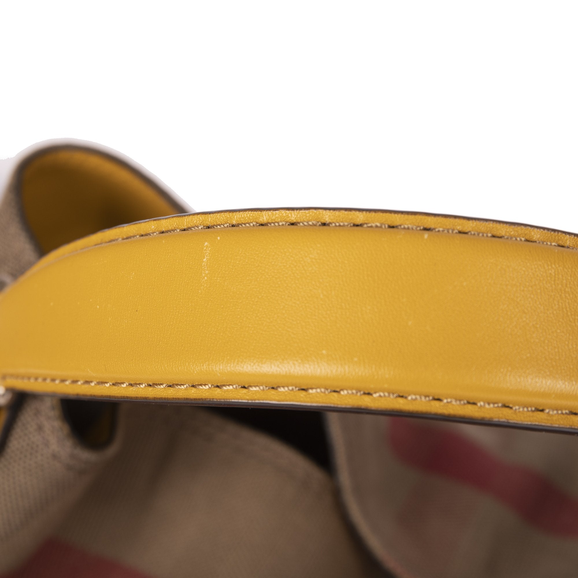 Burberry House Check Bucket Bag