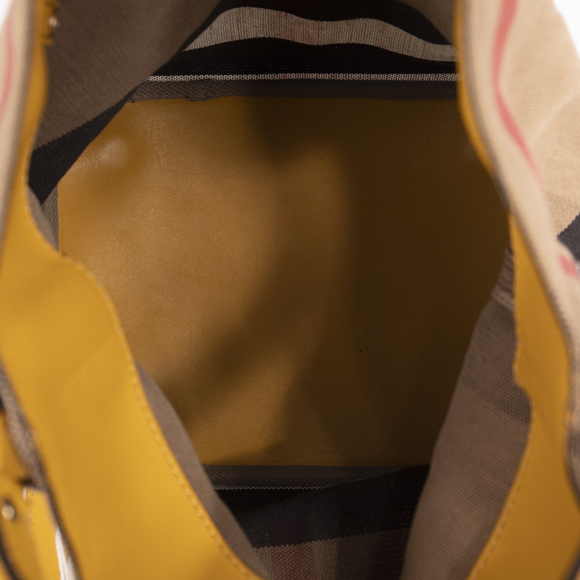 Burberry House Check Bucket Bag