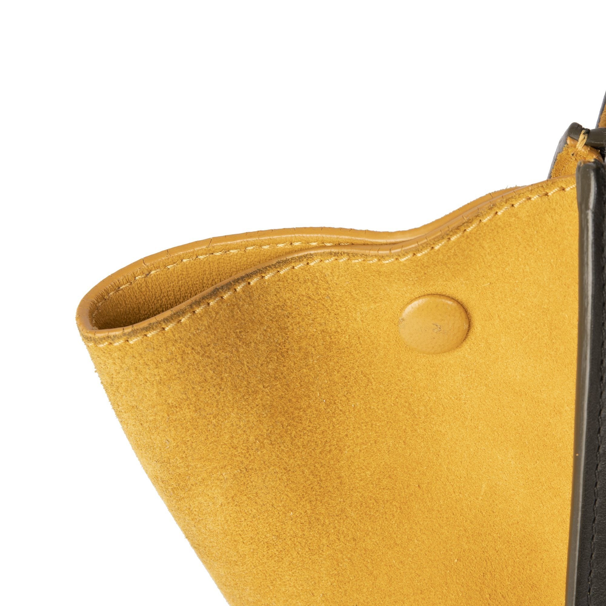 Celine Medium Tricolor Trapeze Bag