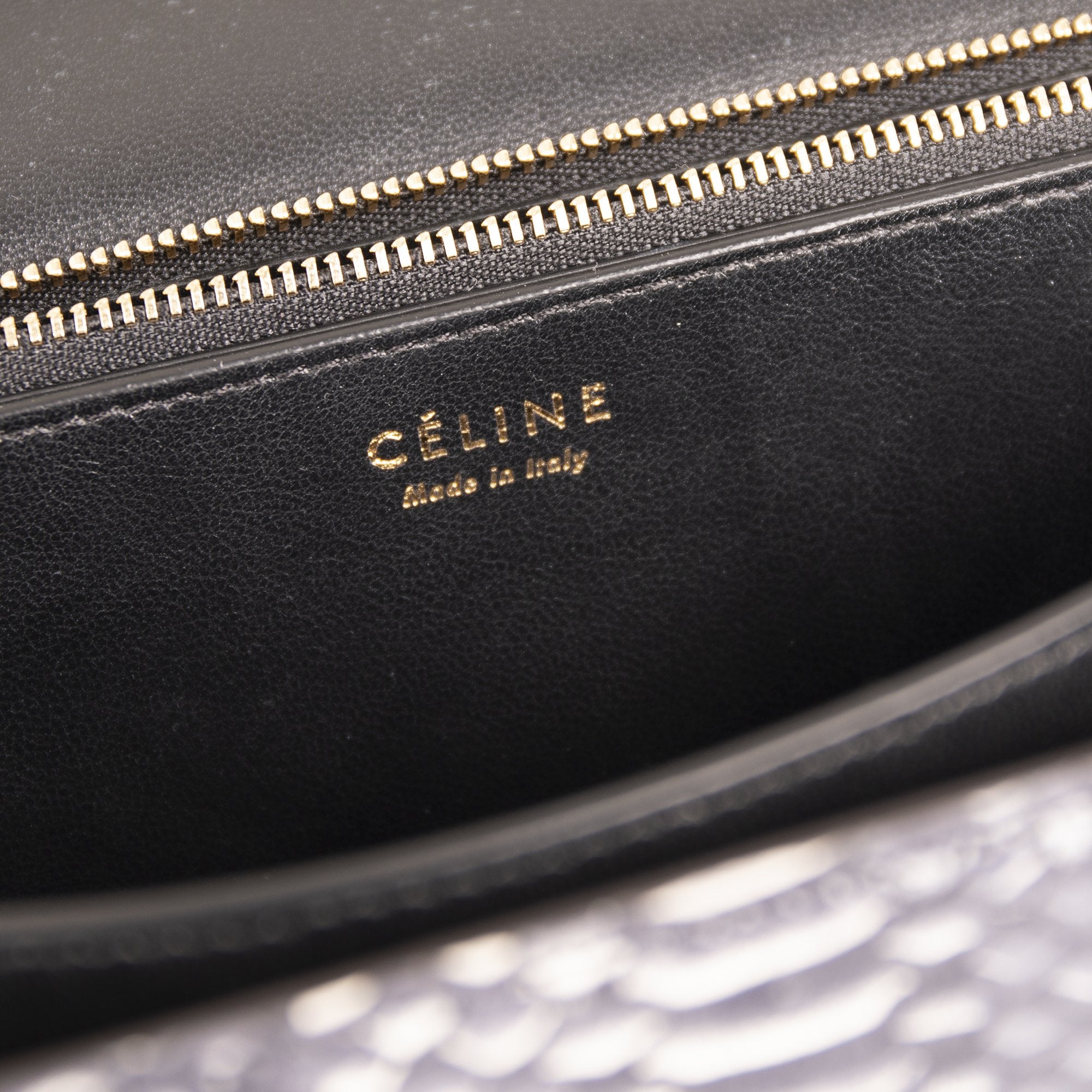 Celine Python Medium Classic Box Bag w/ Box & Tags