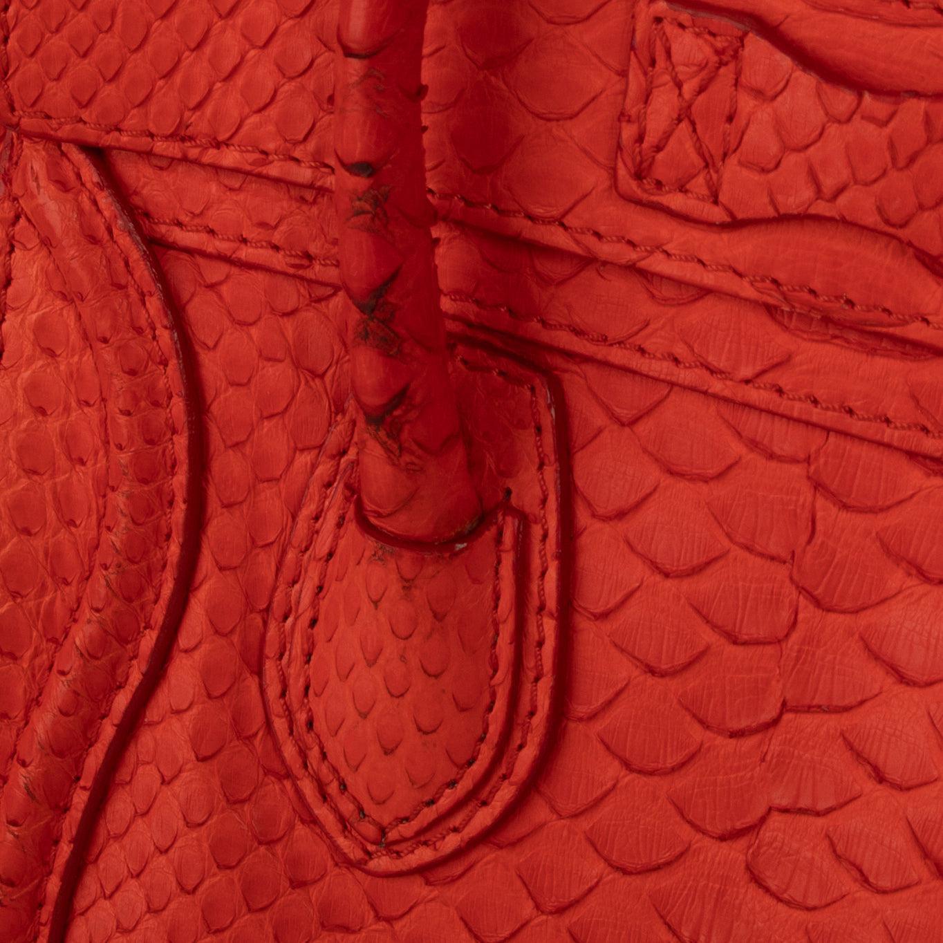 Celine Python Nano Luggage Tote