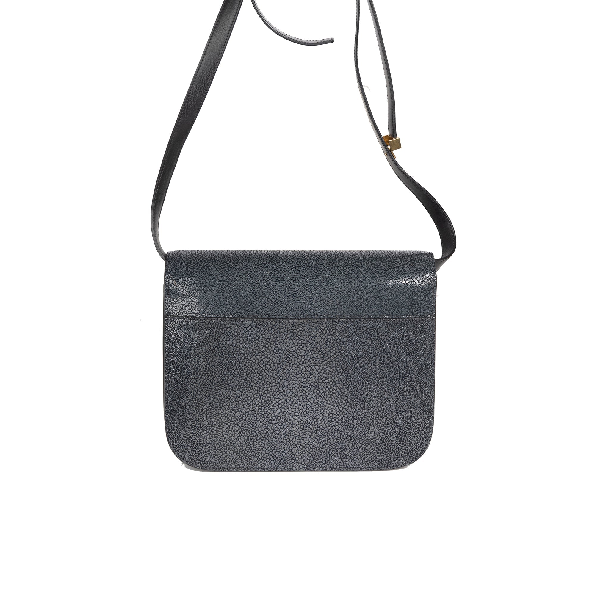 Celine Stingray Medium Classic Box Bag