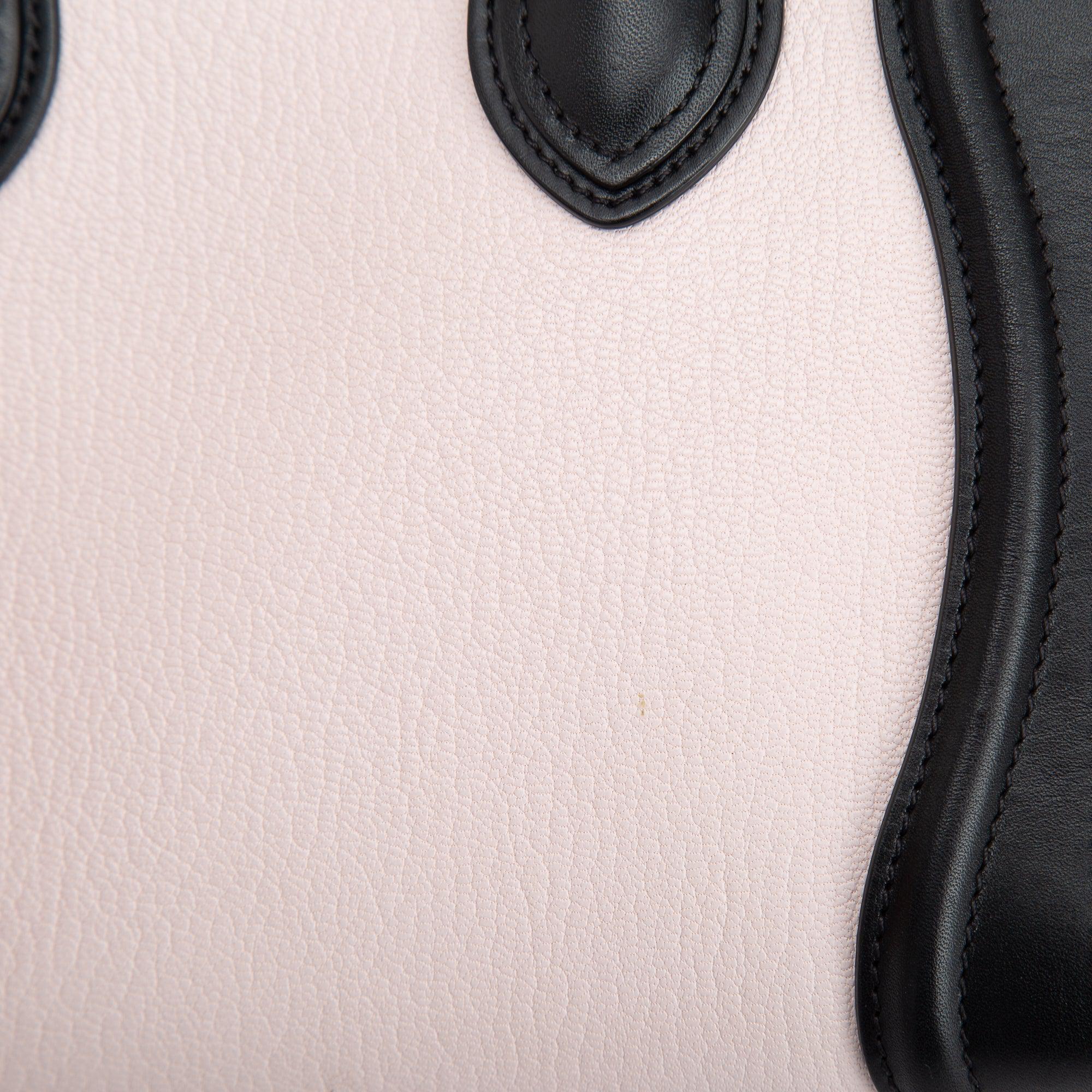 Celine Tricolour Nano Luggage Tote w/ Strap