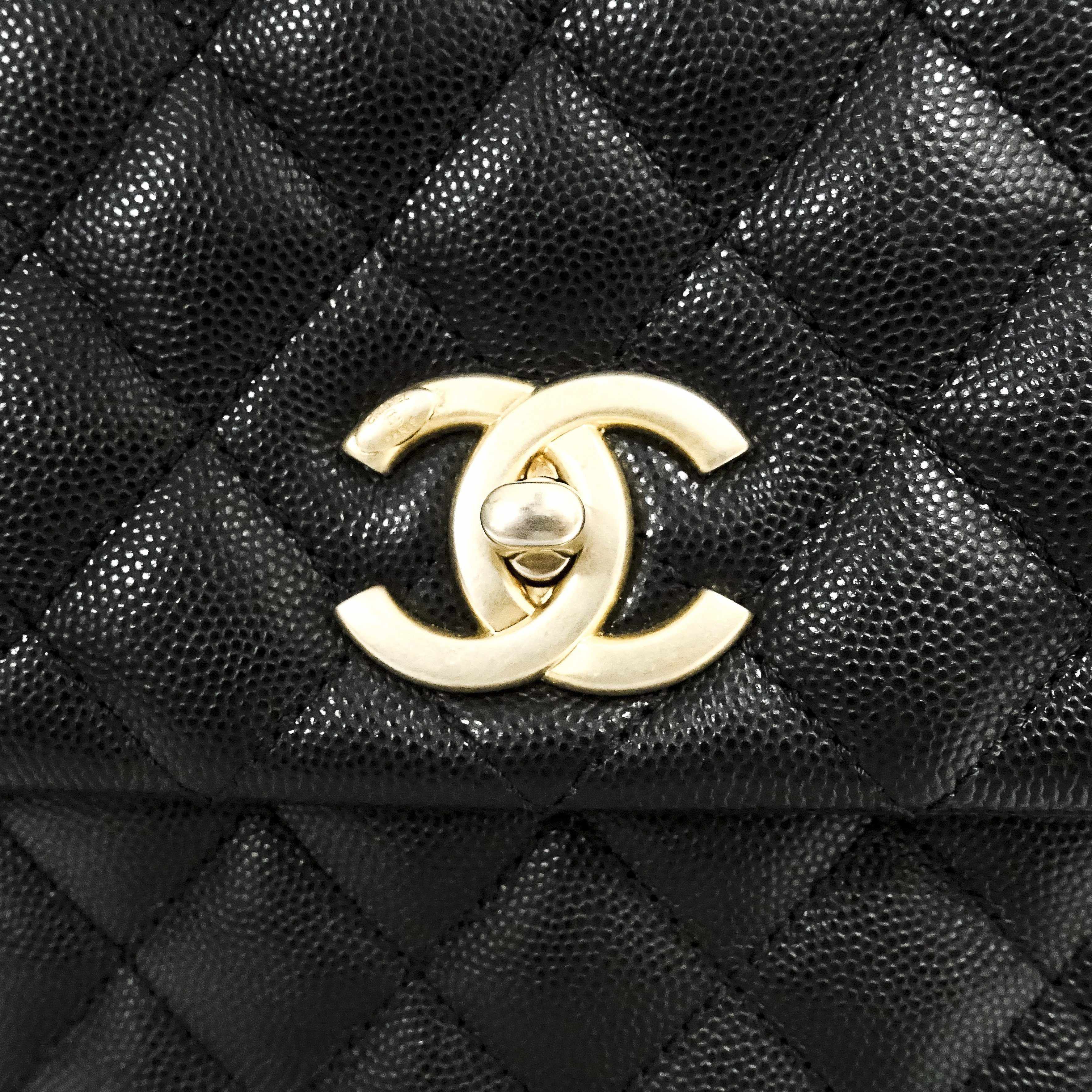 Chanel Coco Lizard Handle Bag