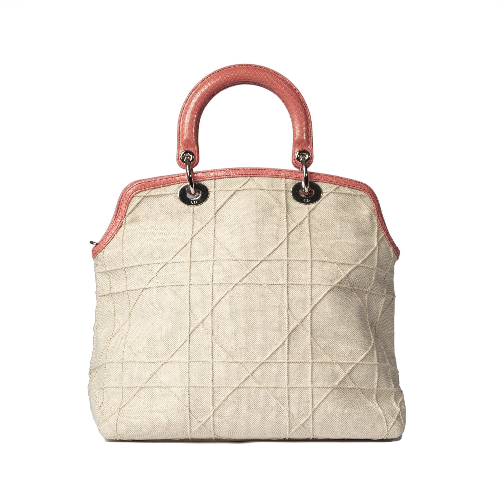 Christian Dior Limited Edition Canvas and Python Granville Bag