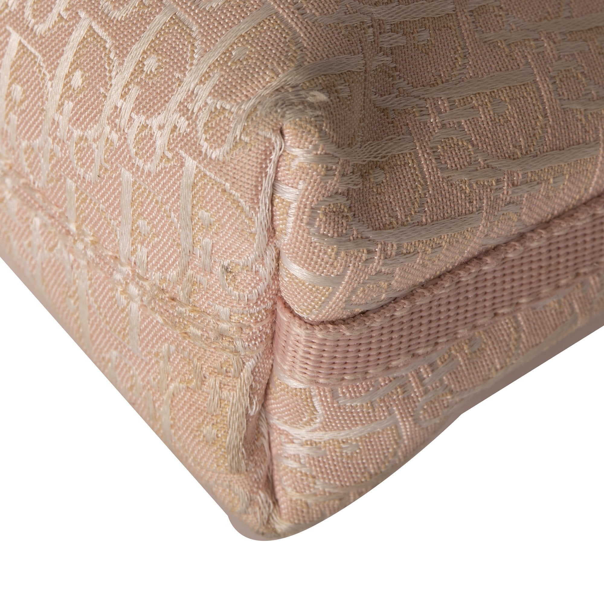 Christian Dior Oblique Canvas Baguette