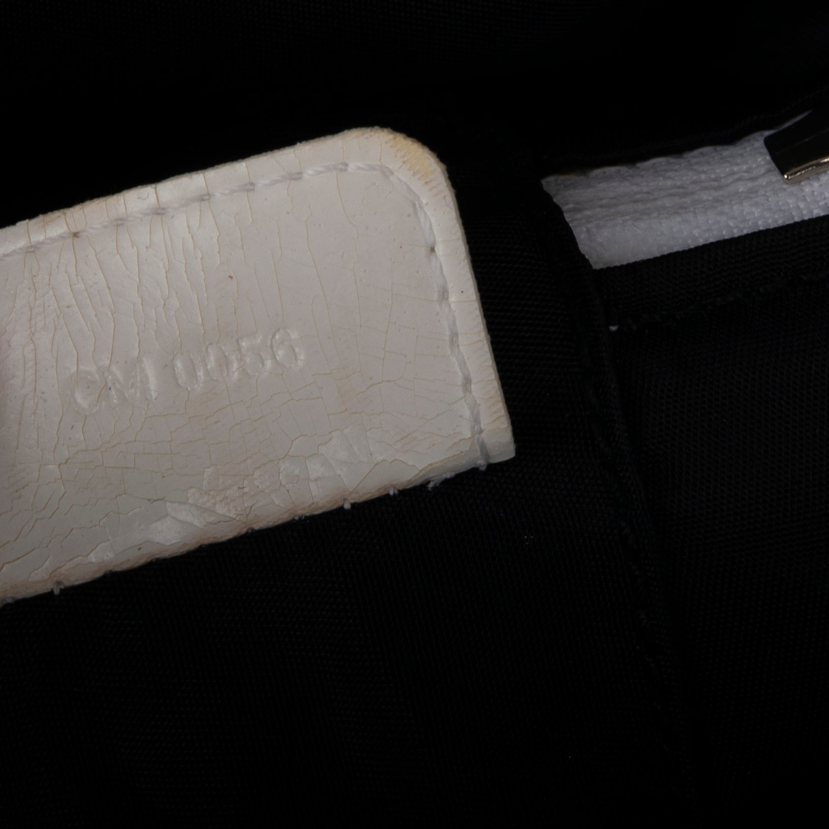 Christian Dior Oblique Trotter Vanity Case