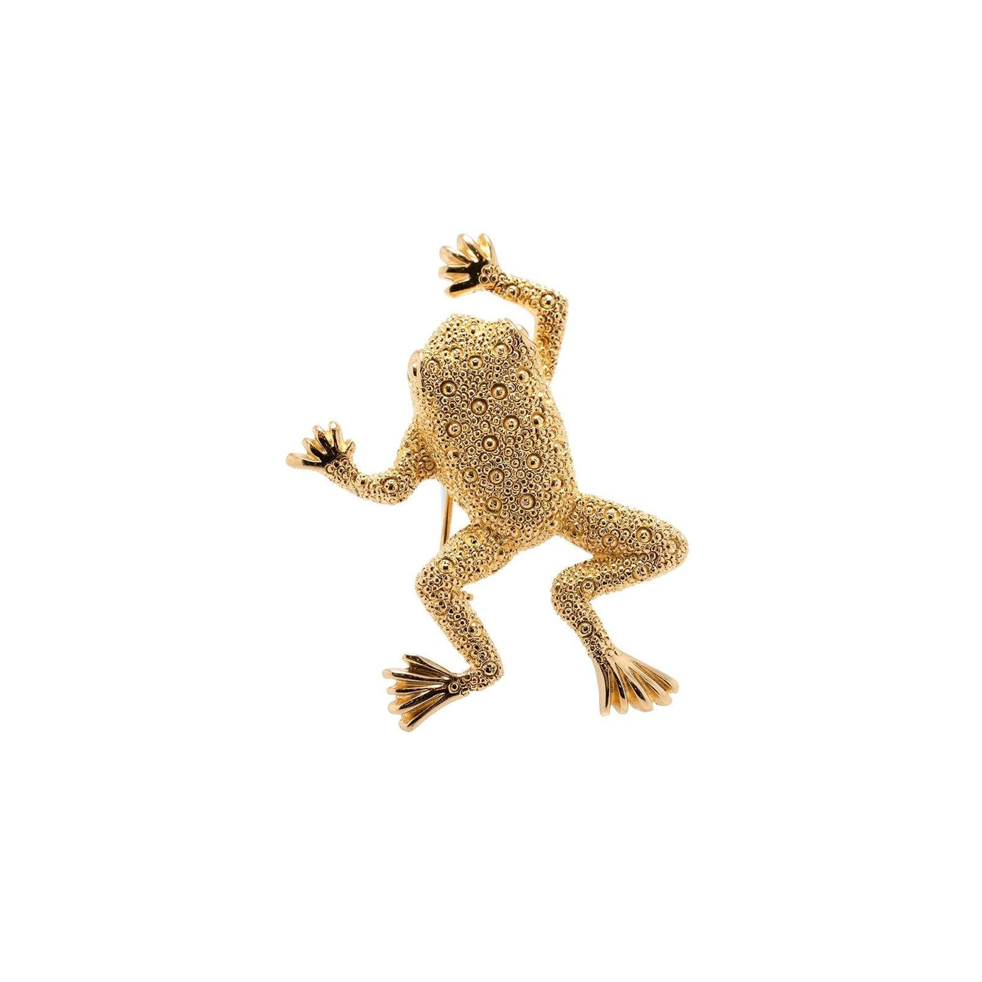 Christian Dior Vintage Frog Brooch