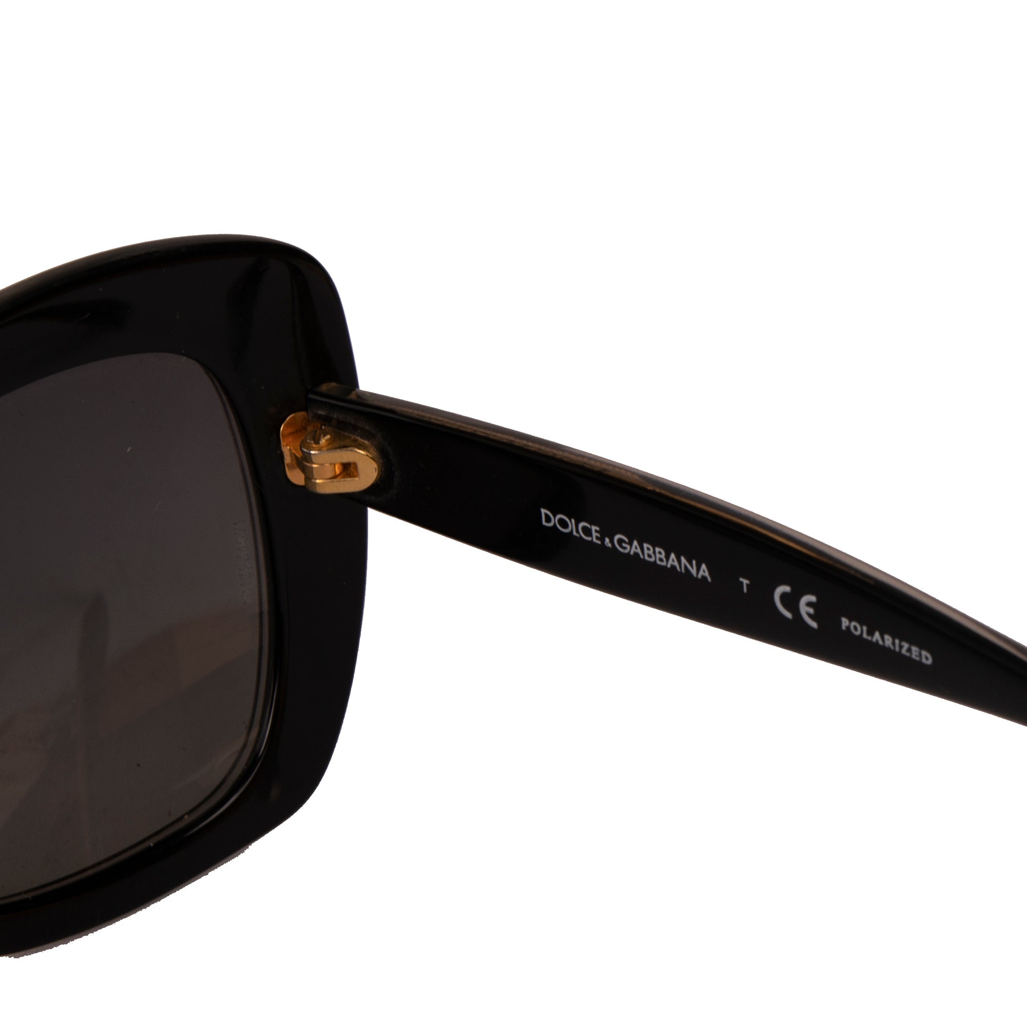 Dolce & Gabbana DG4205 Polarized Sunglasses w/ Leather Case