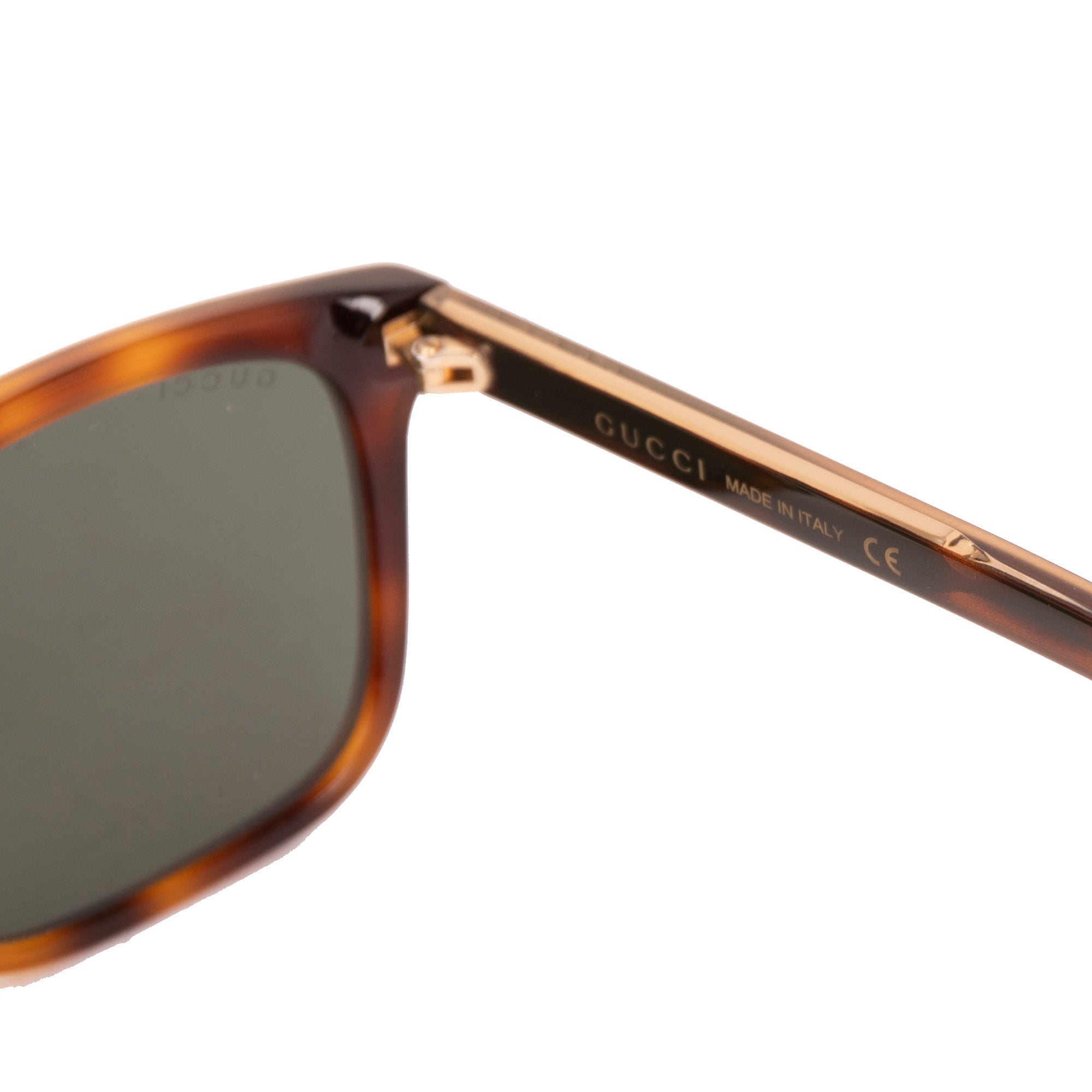 Gucci GG0381SA Sunglasses