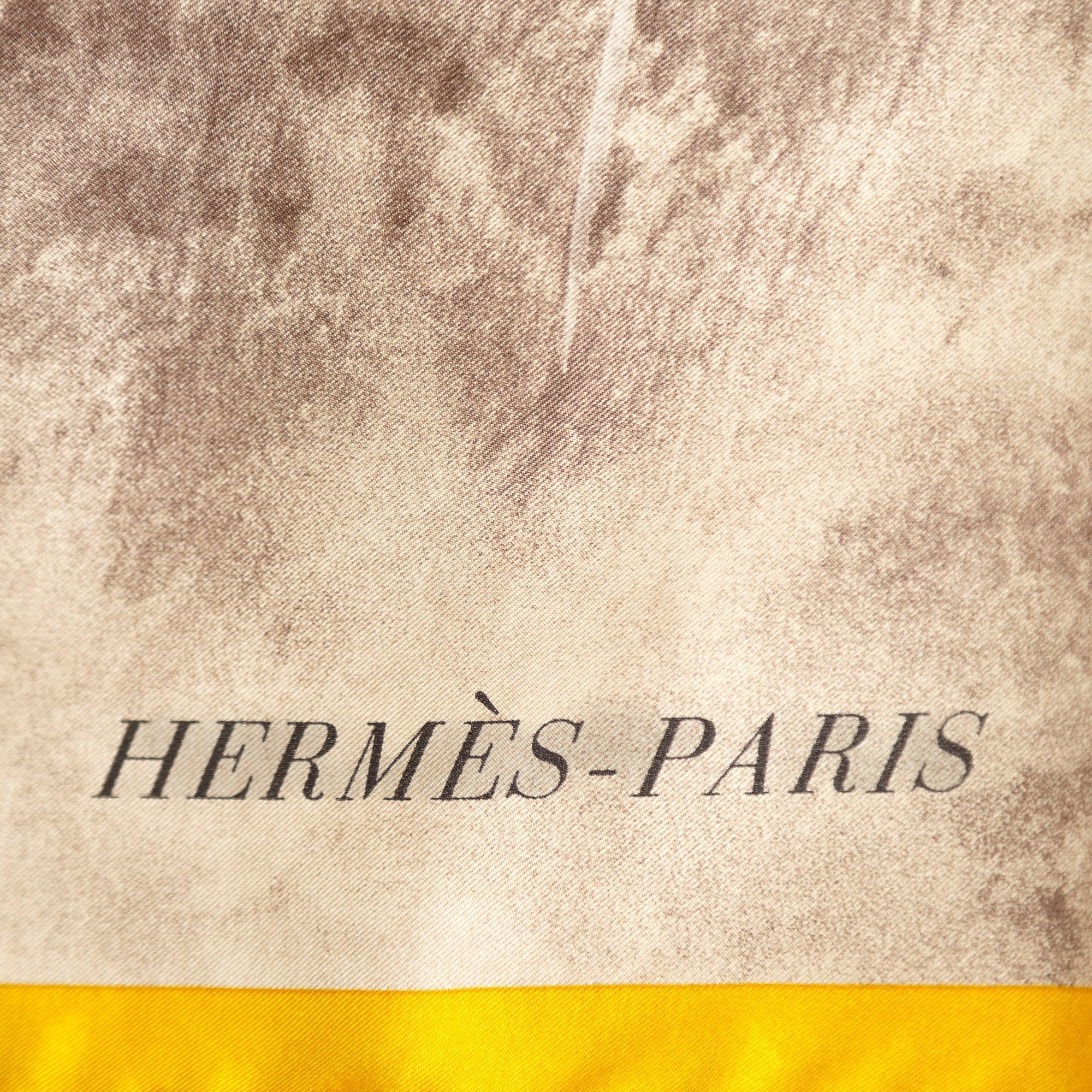 Hermes Acynonyx Jubatus Wash Scarf 140 w/ Box