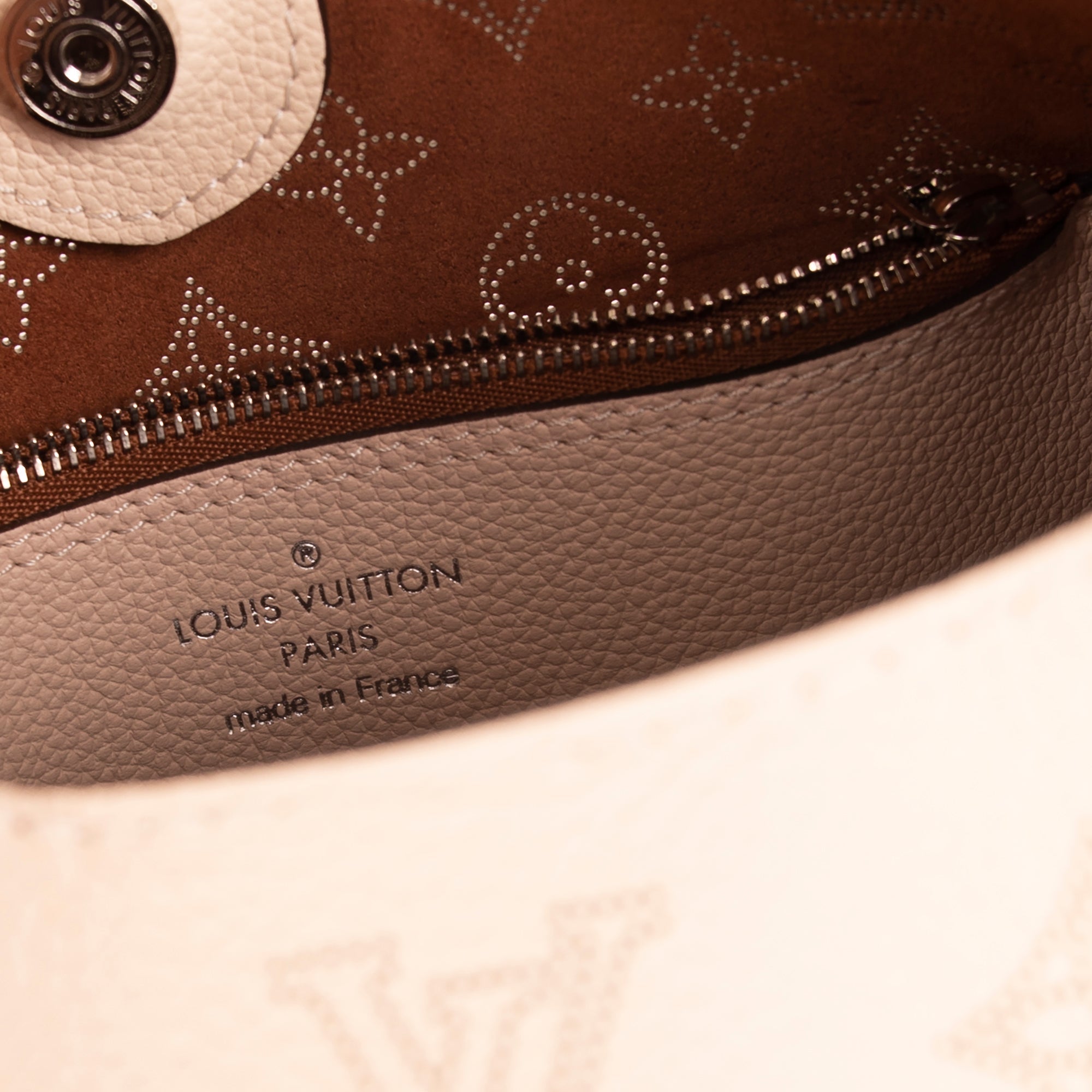 Louis Vuitton 2020 Monogram Mahina Carmel Hobo