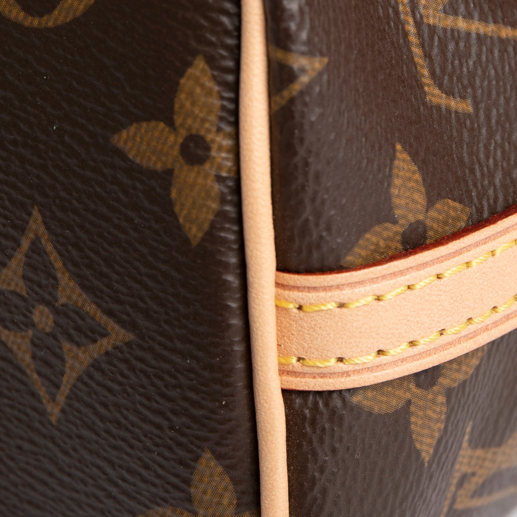 Louis Vuitton 2020 Monogram Nano Noe Bag w/ Receipt