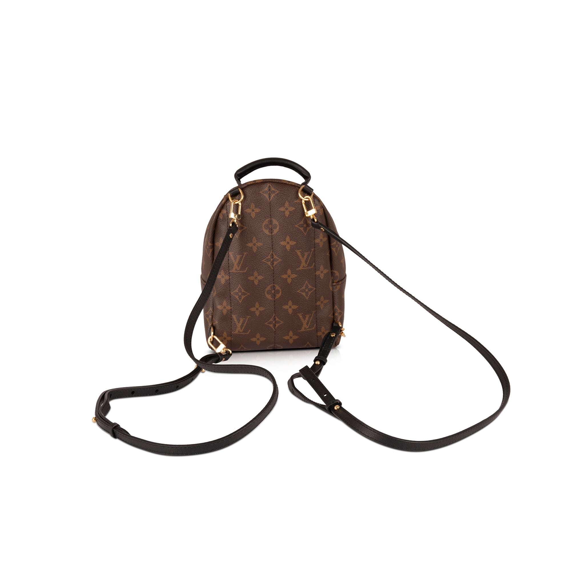 Louis Vuitton 2020 Monogram Palm Springs Mini Backpack