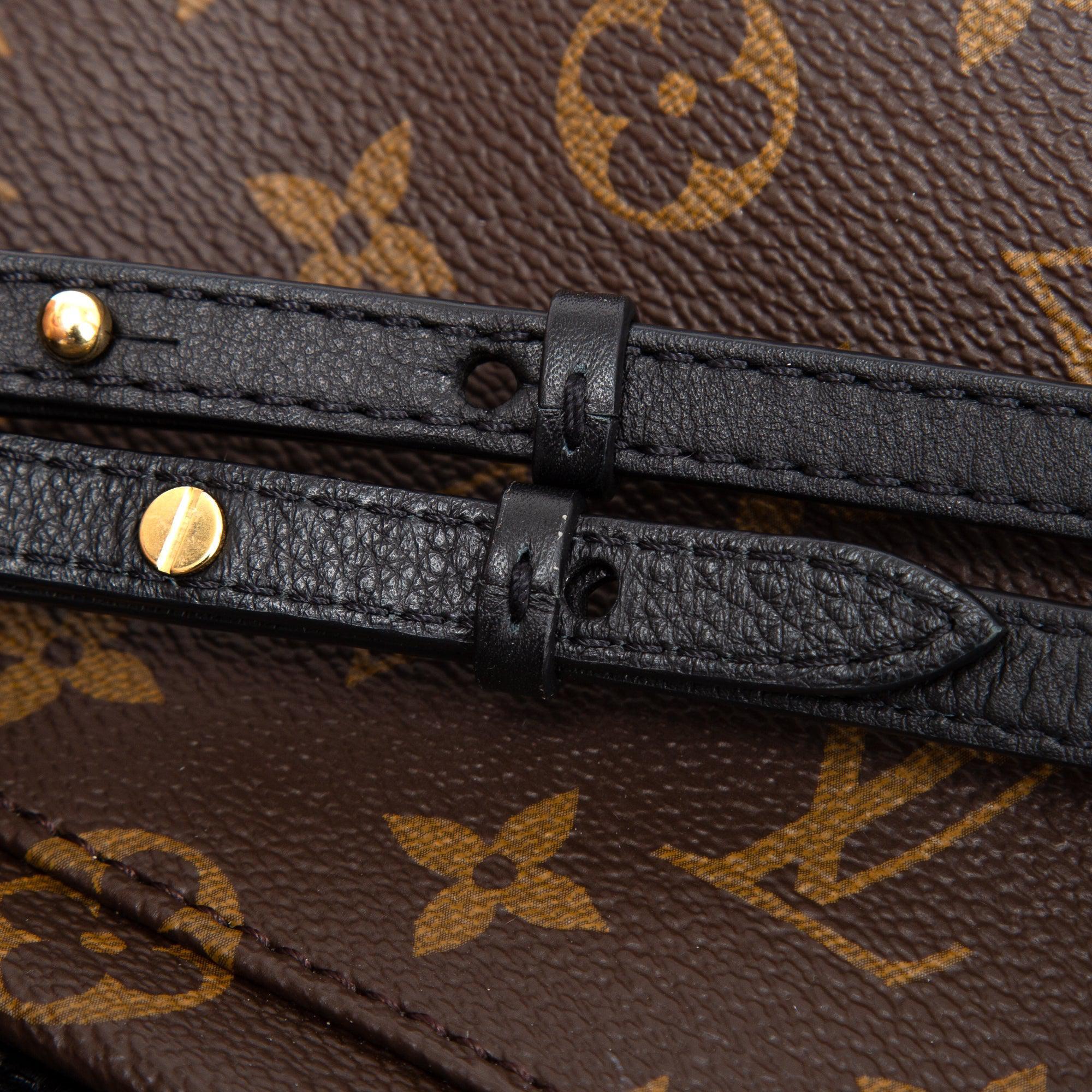 Louis Vuitton 2020 Monogram Palm Springs Mini Backpack w/ Box