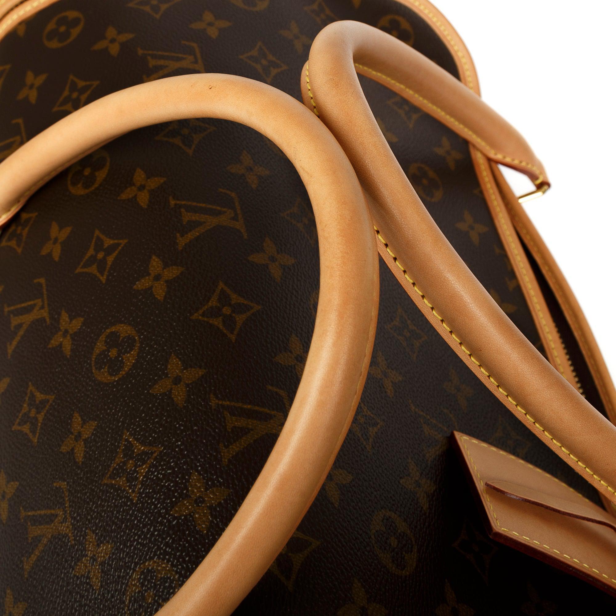 Louis Vuitton 2022 Monogram Dog Bag