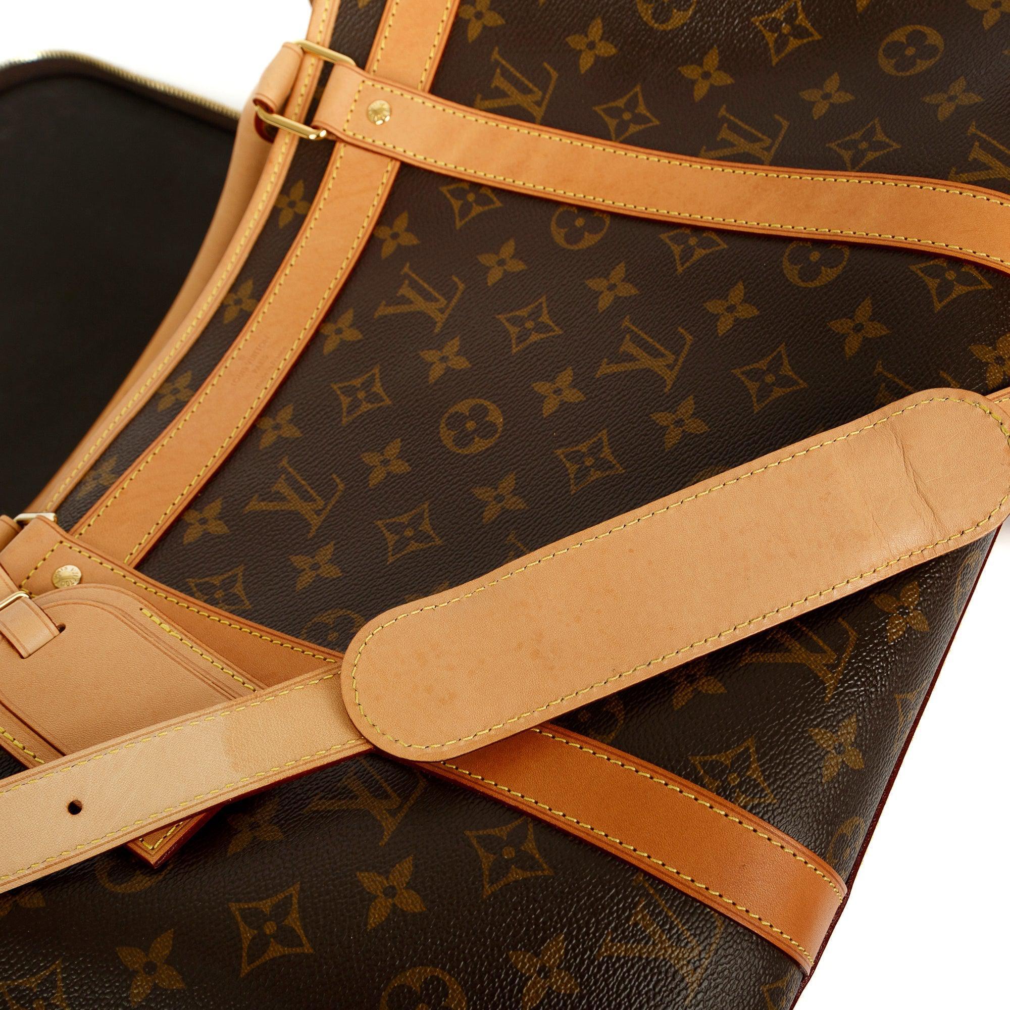Louis Vuitton 2022 Monogram Dog Bag