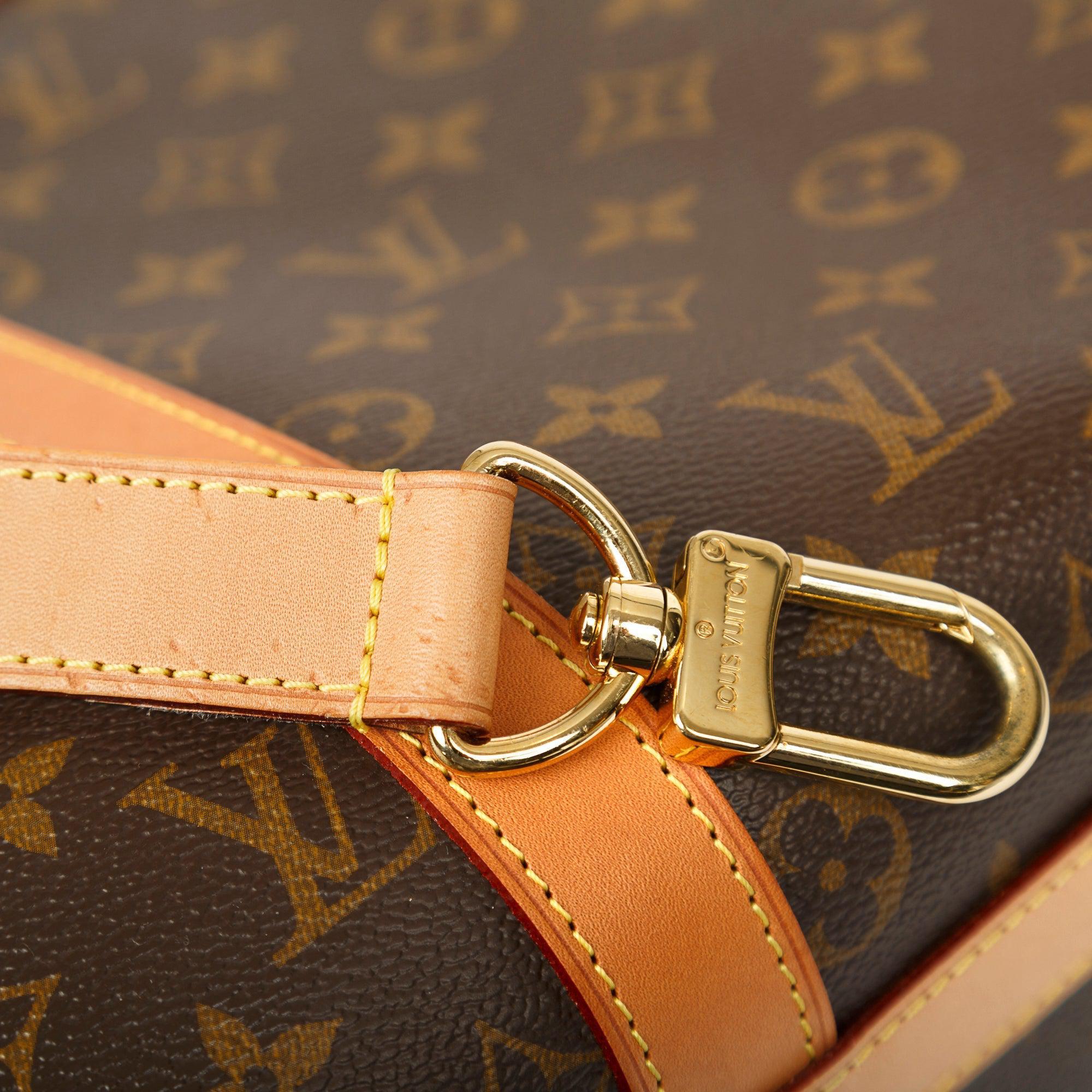 Louis Vuitton 2022 Monogram Dog Bag
