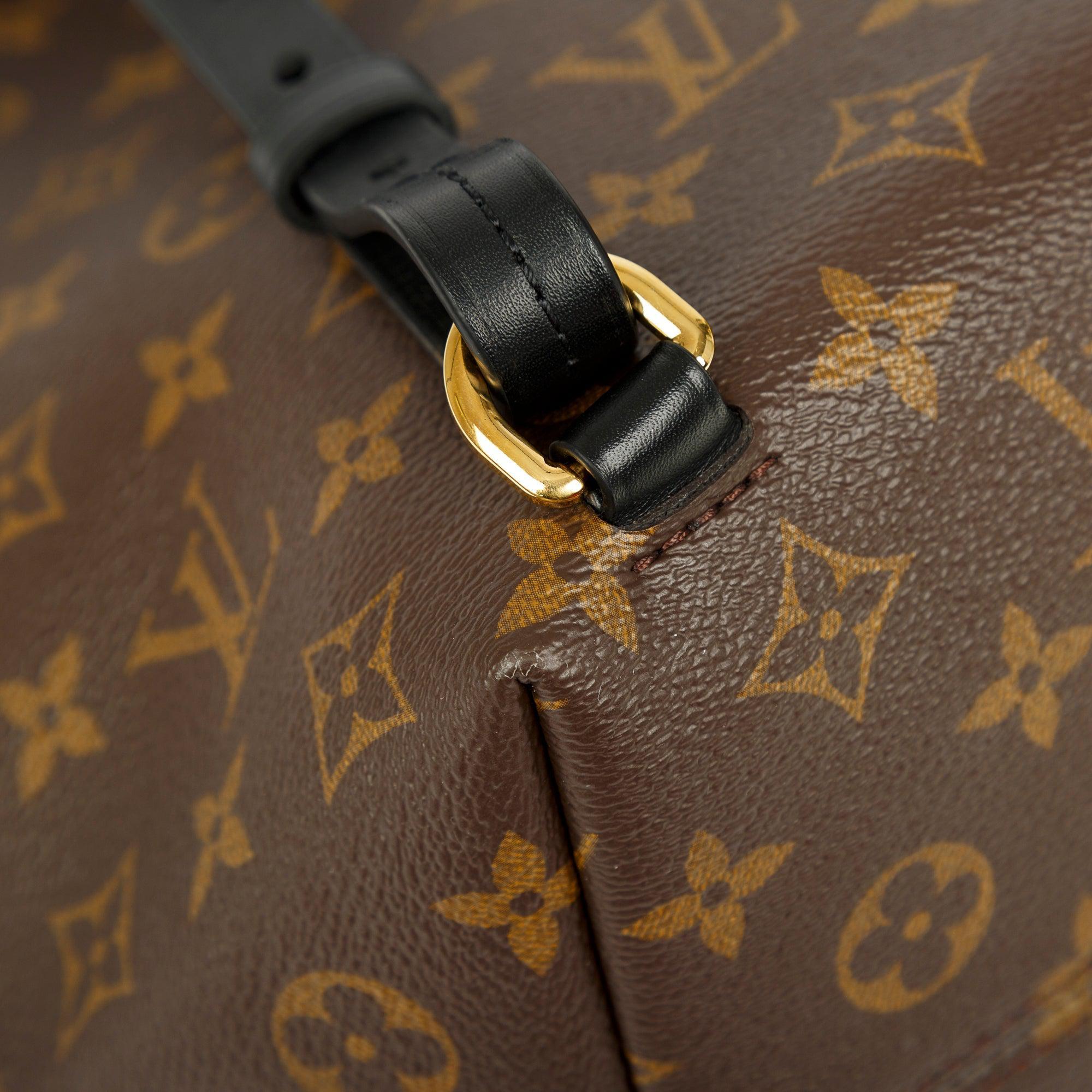 Louis Vuitton 2022 Monogram Montsouris PM Backpack