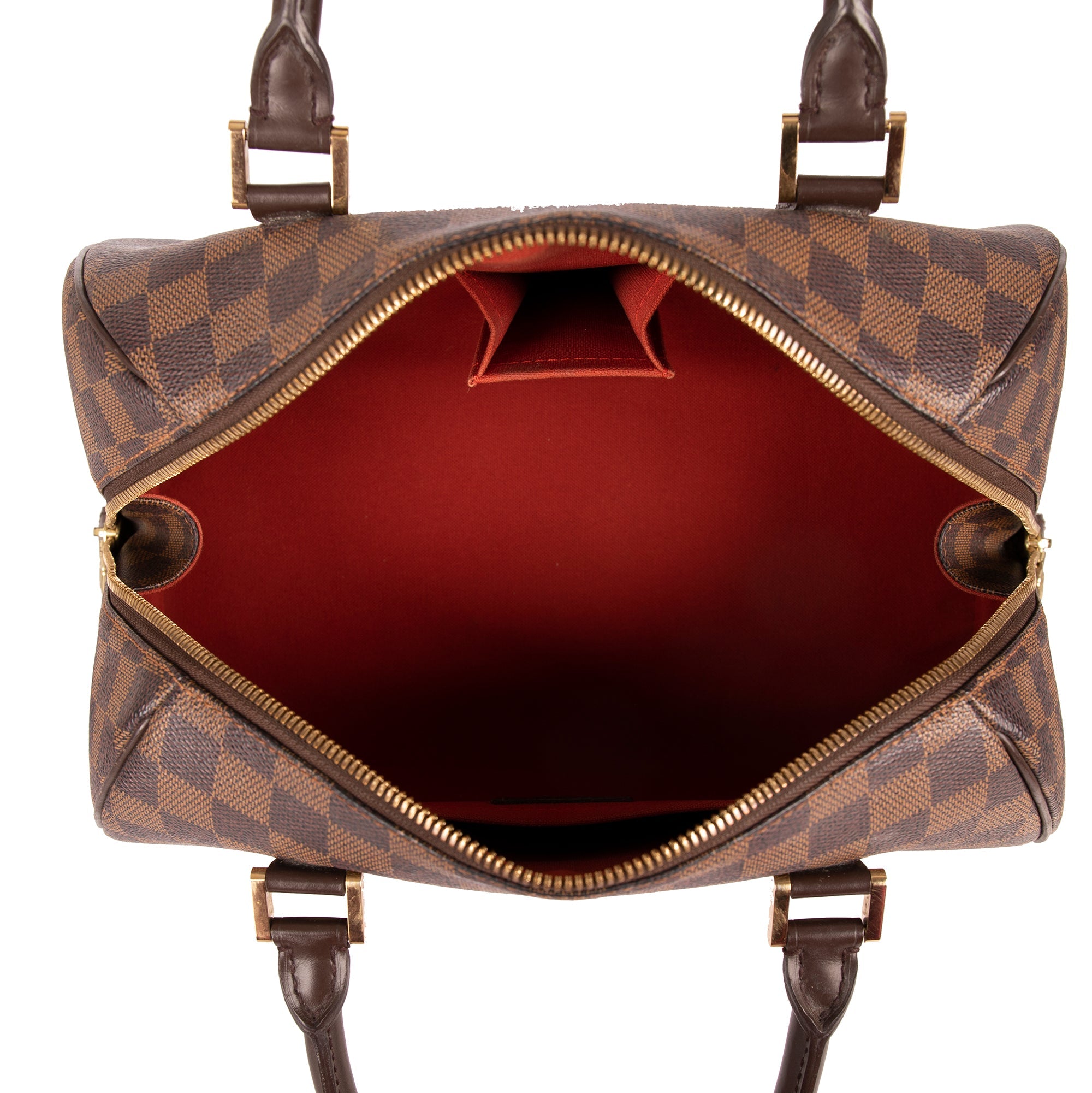 Louis Vuitton Damier Ebene Ribera MM