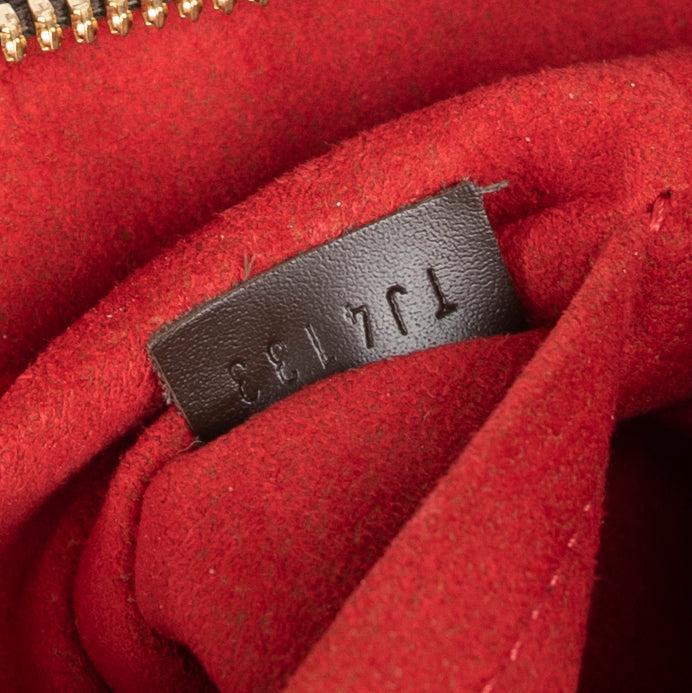 Louis Vuitton Damier Ebene Trevi PM