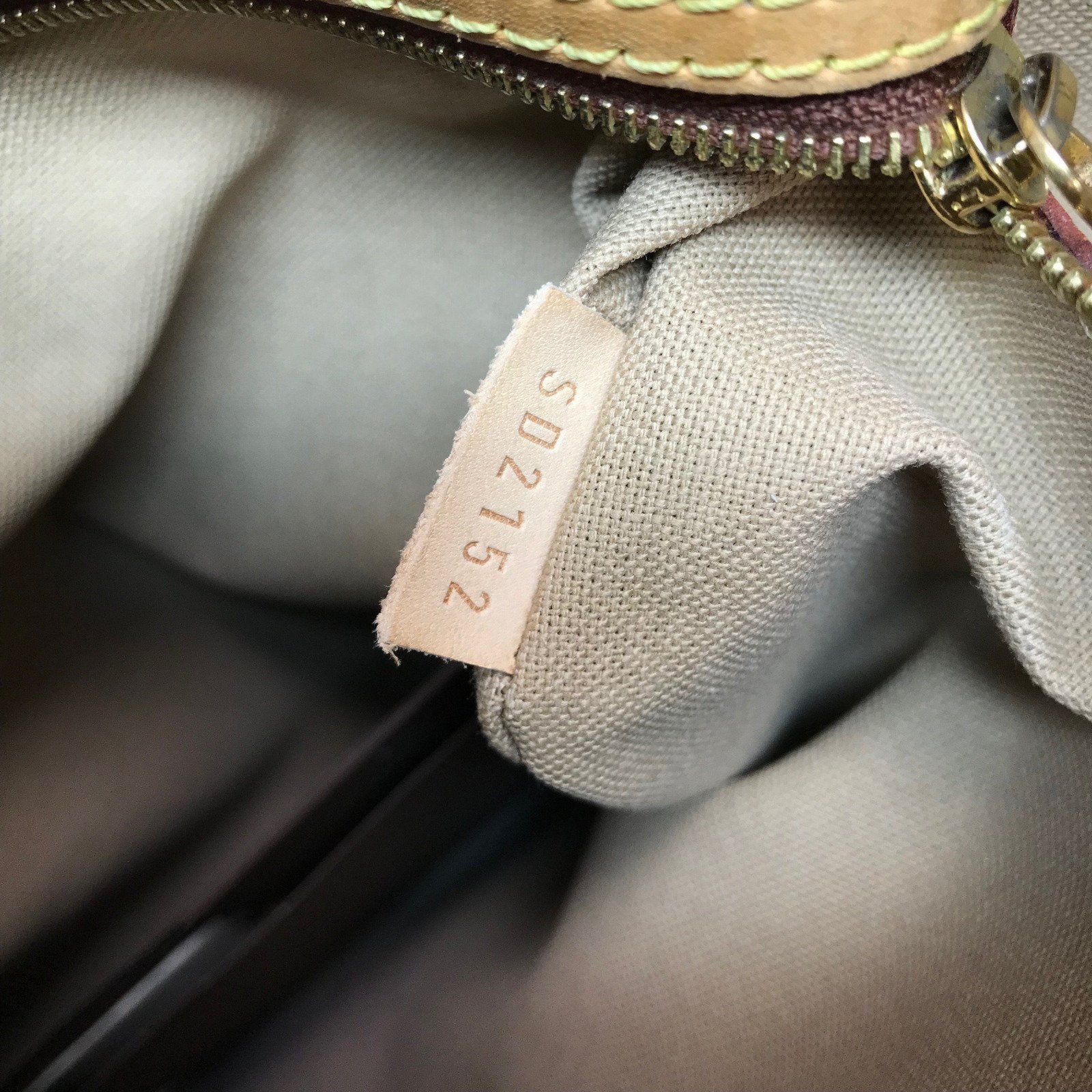 Louis Vuitton Delightful PM Monogram