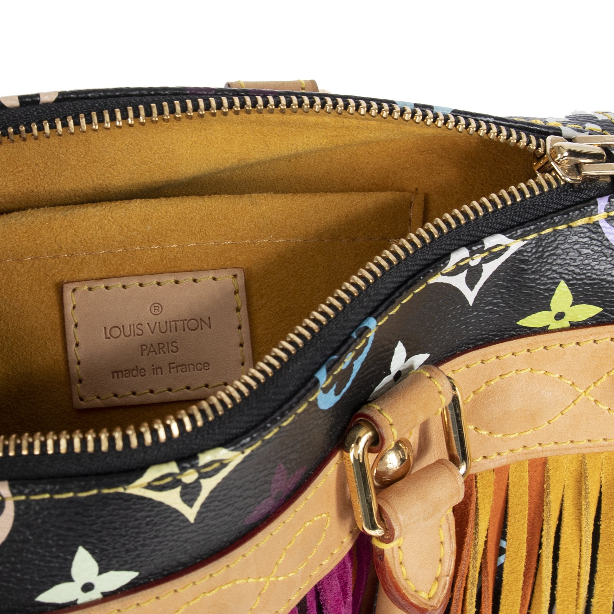 Louis Vuitton Limited Edition Multicolore Fringe Speedy 25