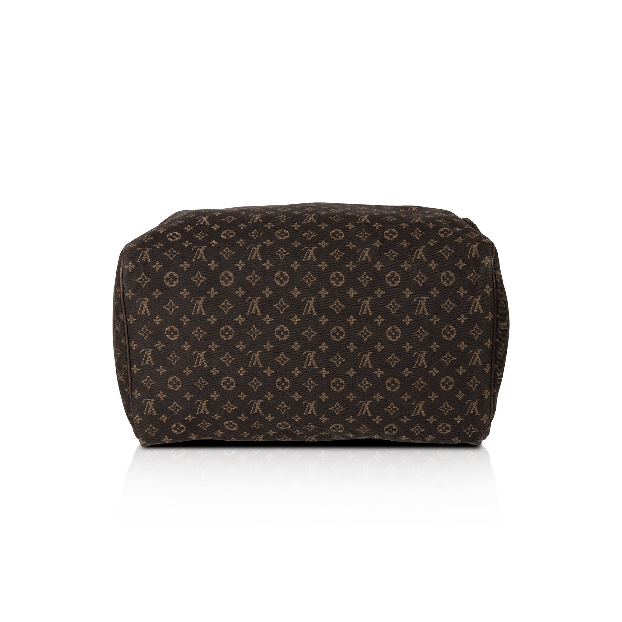 Louis Vuitton Mini Lin Speedy 30