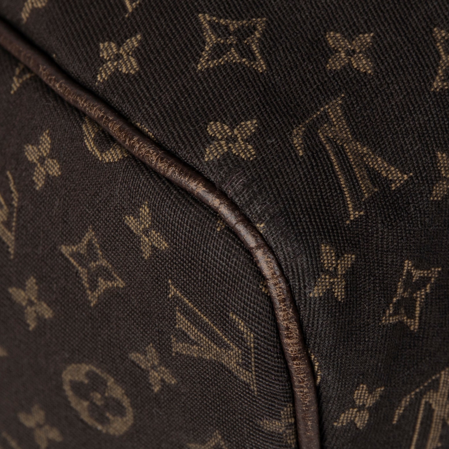 Louis Vuitton Mini Lin Speedy 30