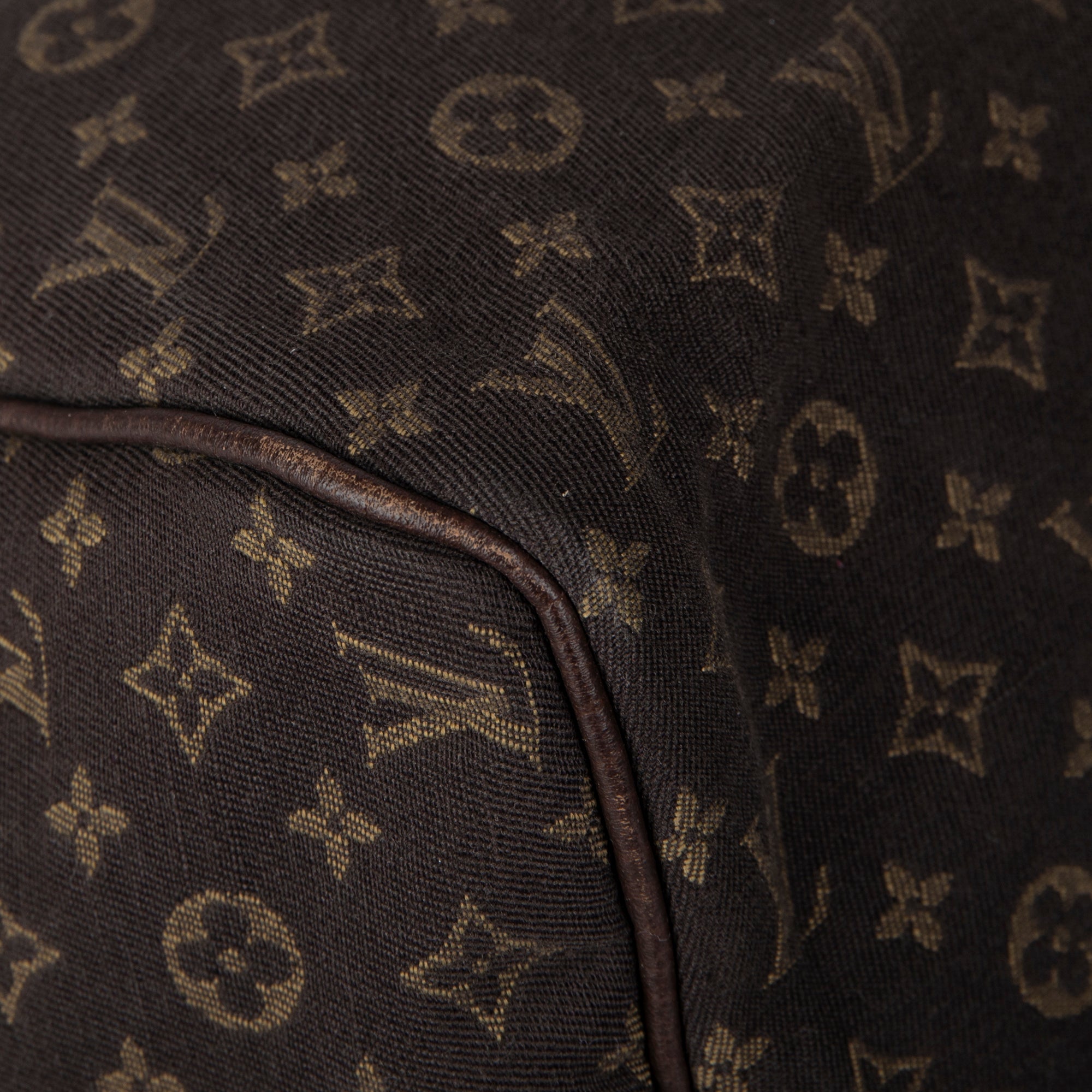 Louis Vuitton Mini Lin Speedy 30