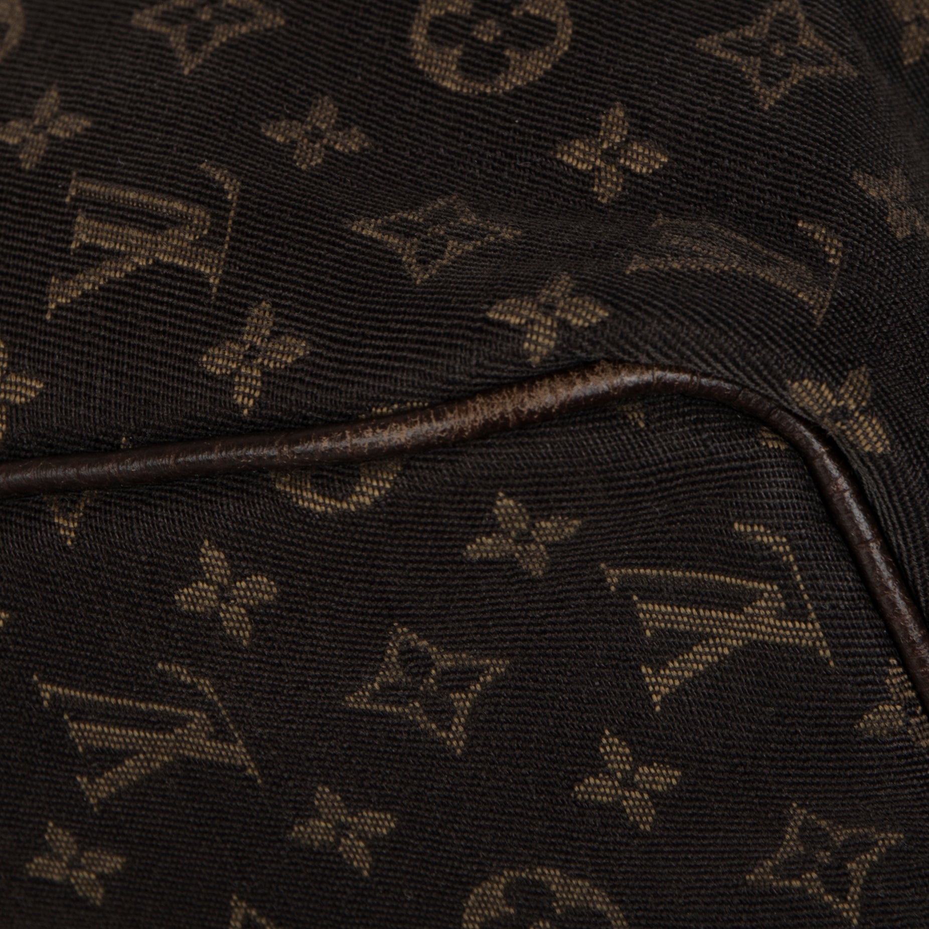 Louis Vuitton Mini Lin Speedy 30