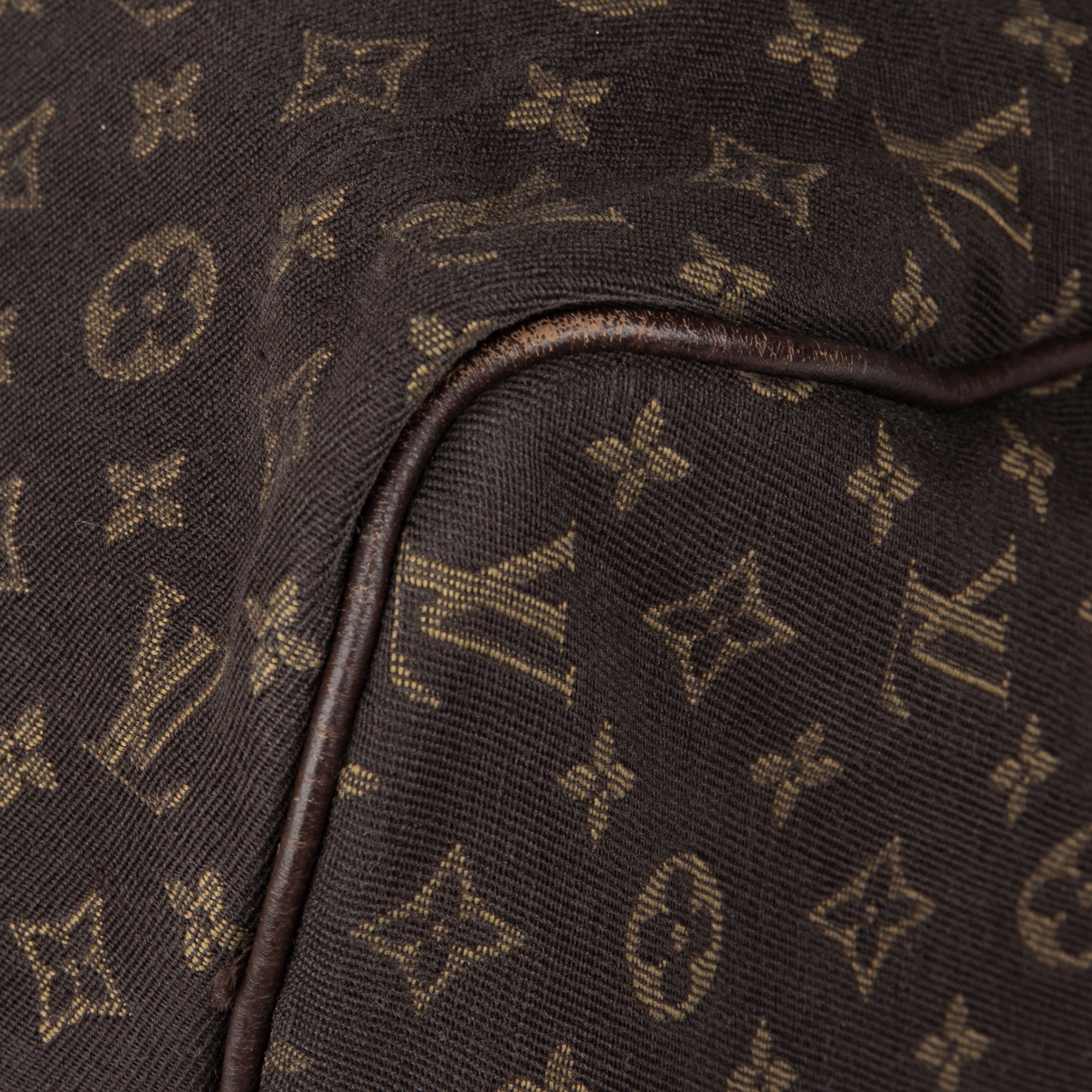 Louis Vuitton Mini Lin Speedy 30