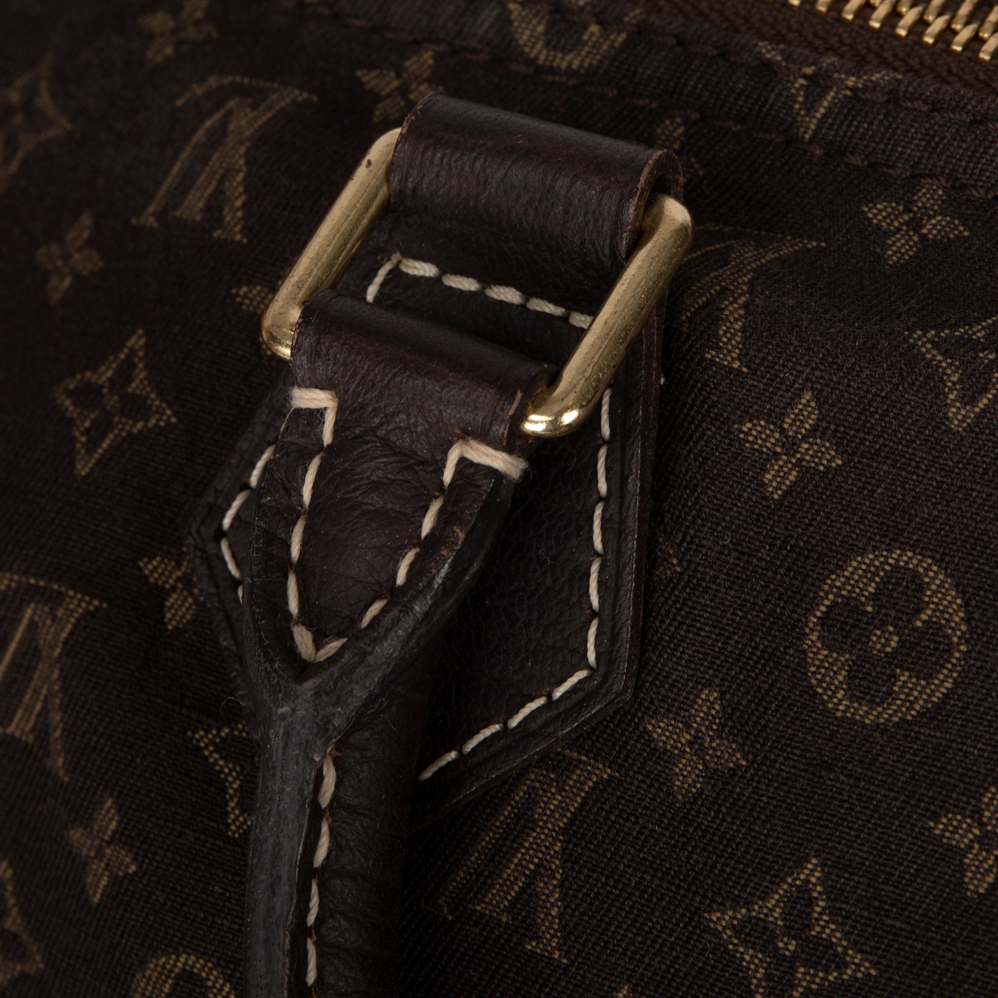 Louis Vuitton Mini Lin Speedy 30