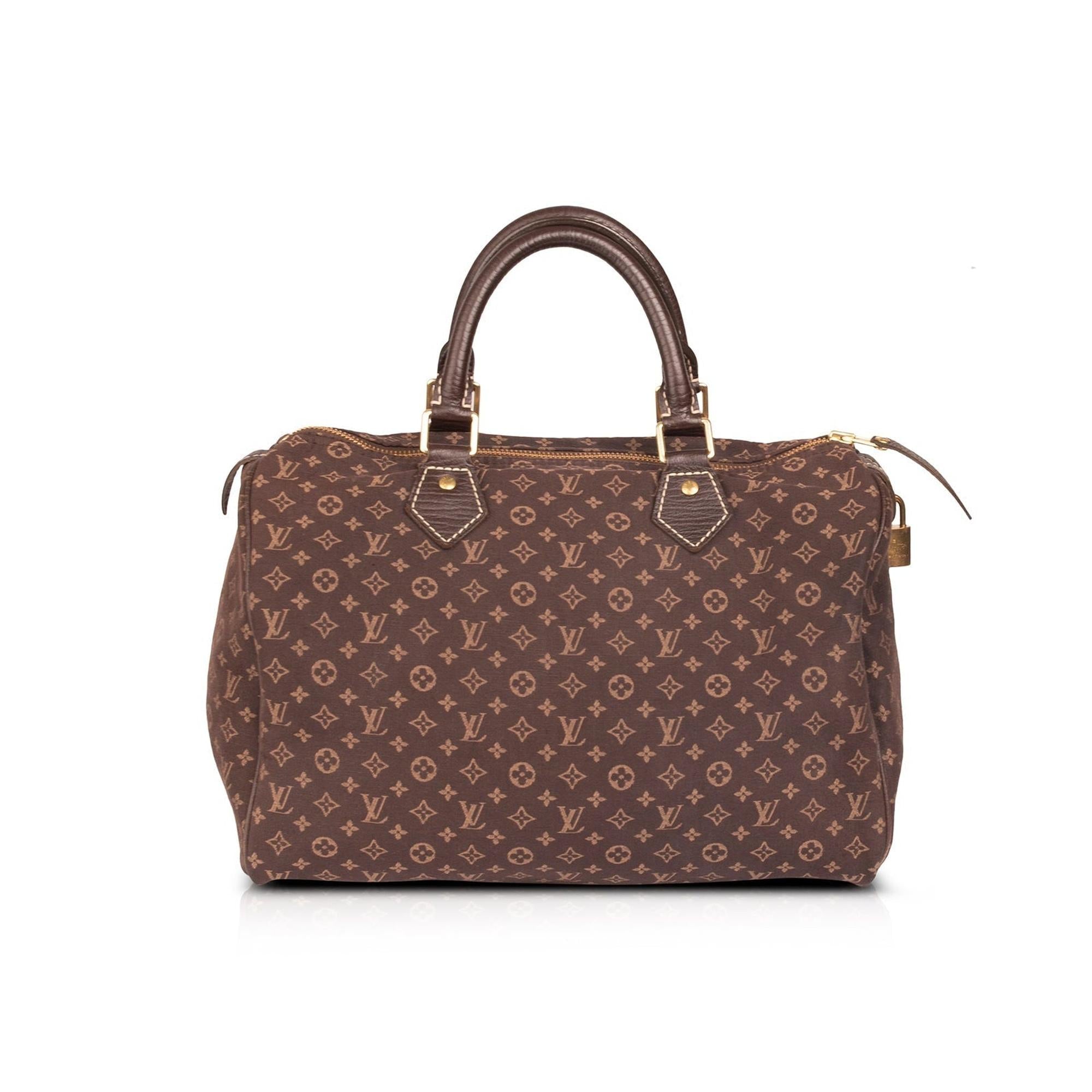 Louis Vuitton Mini Lin Speedy 30
