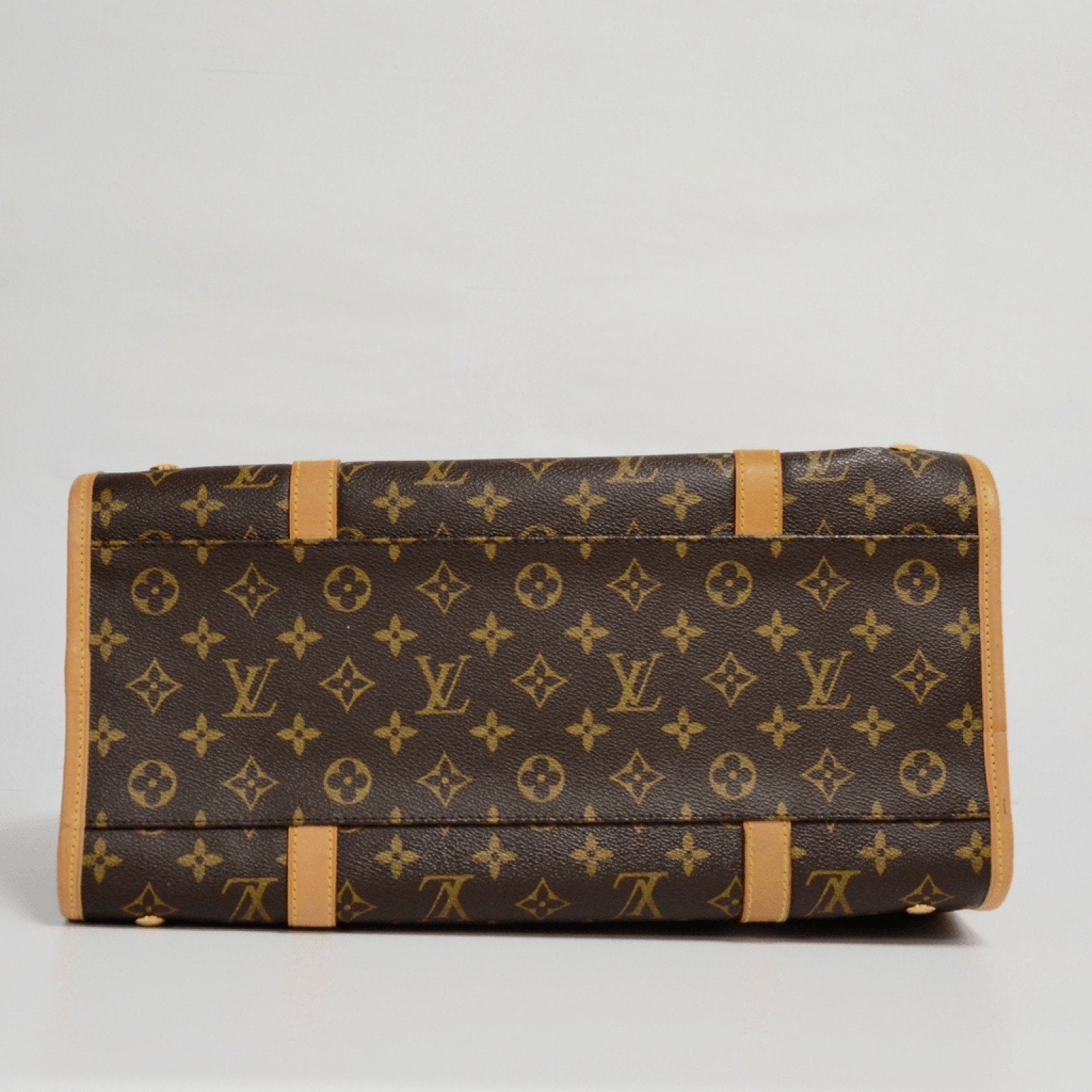 Louis Vuitton Monogram Baxter Pet Carrier GM