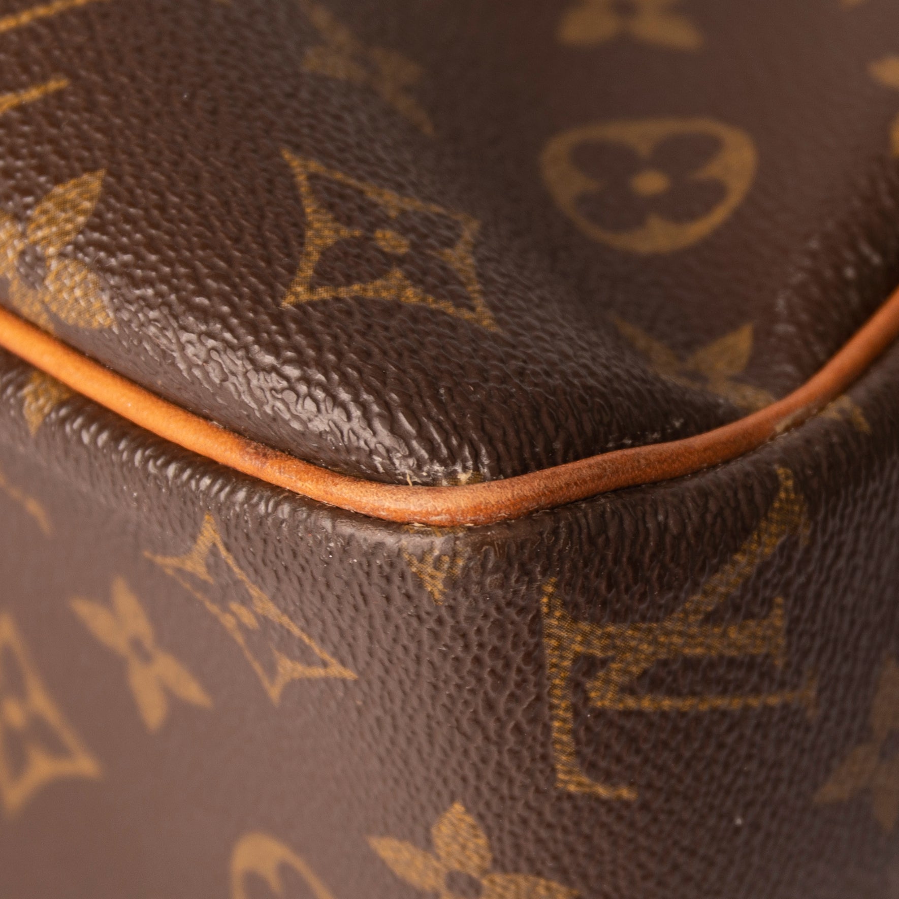 Louis Vuitton Monogram Cite GM