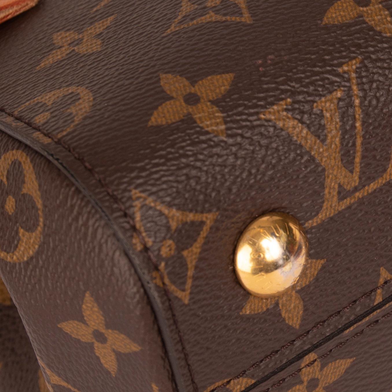 Louis Vuitton Monogram Cluny BB w/ Strap