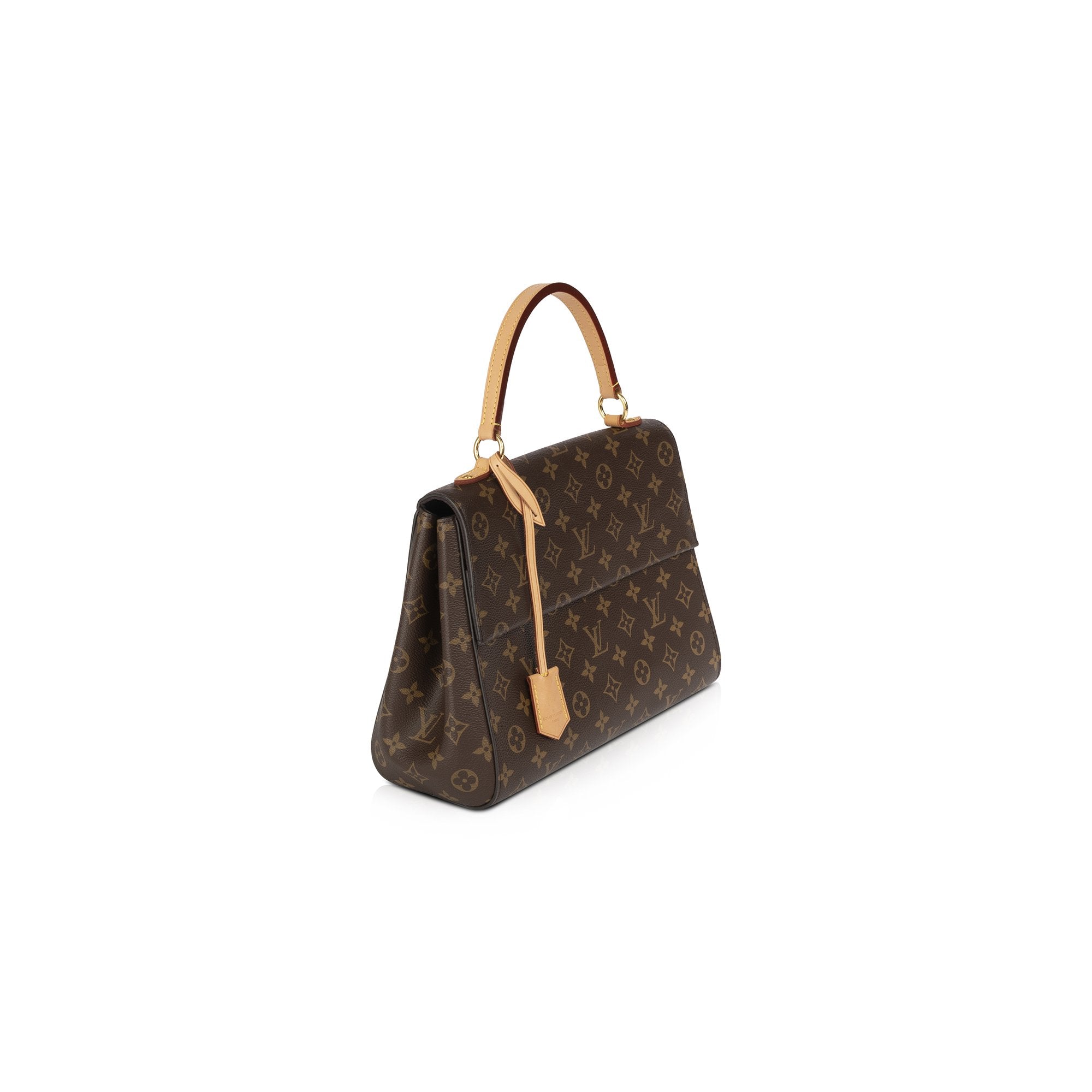 Louis Vuitton Monogram Cluny MM