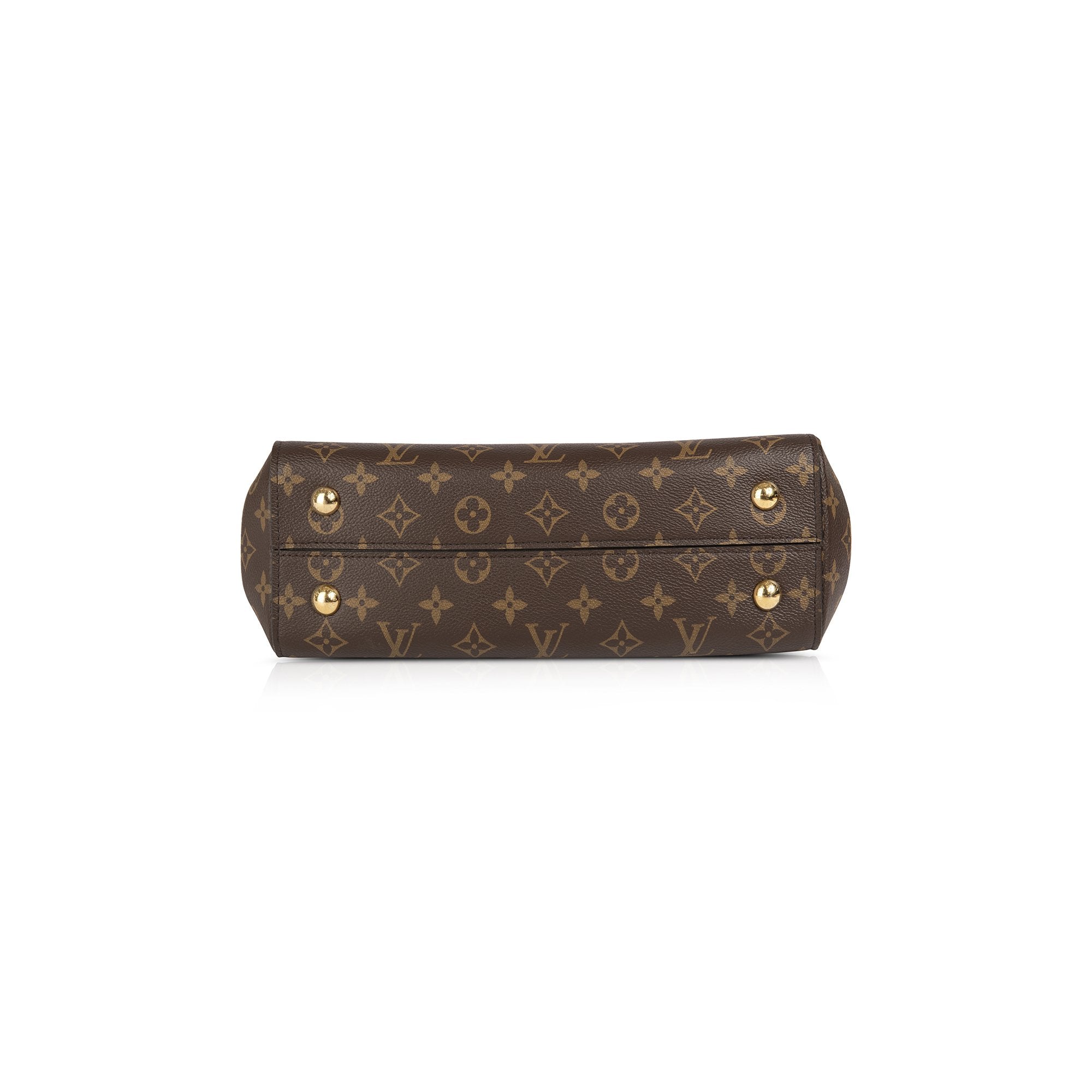 Louis Vuitton Monogram Cluny MM