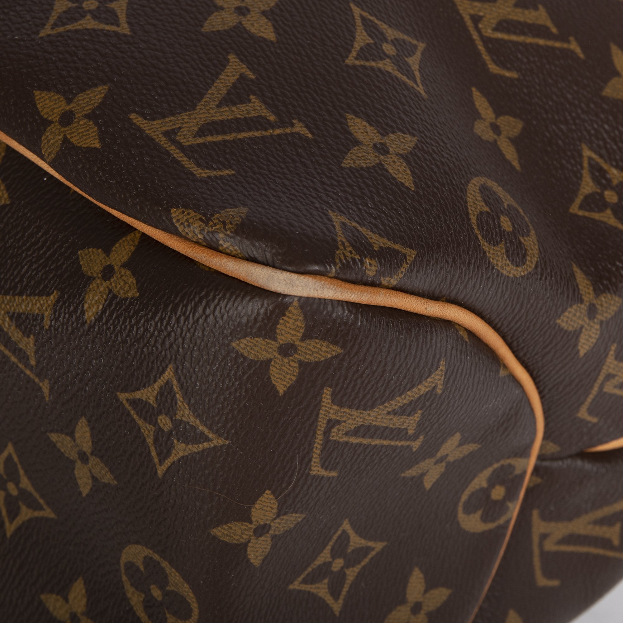 Louis Vuitton Monogram Delightful MM