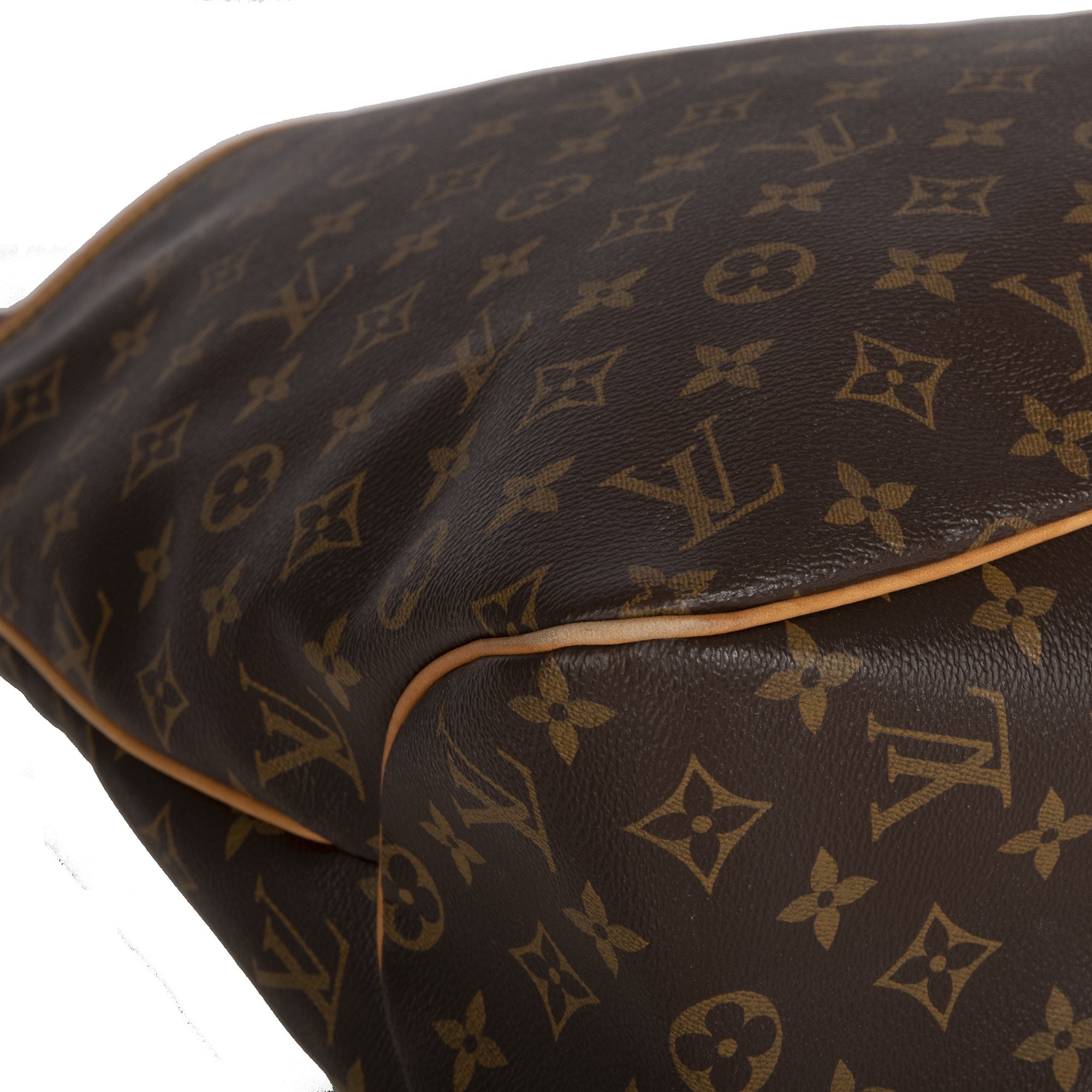 Louis Vuitton Monogram Delightful MM