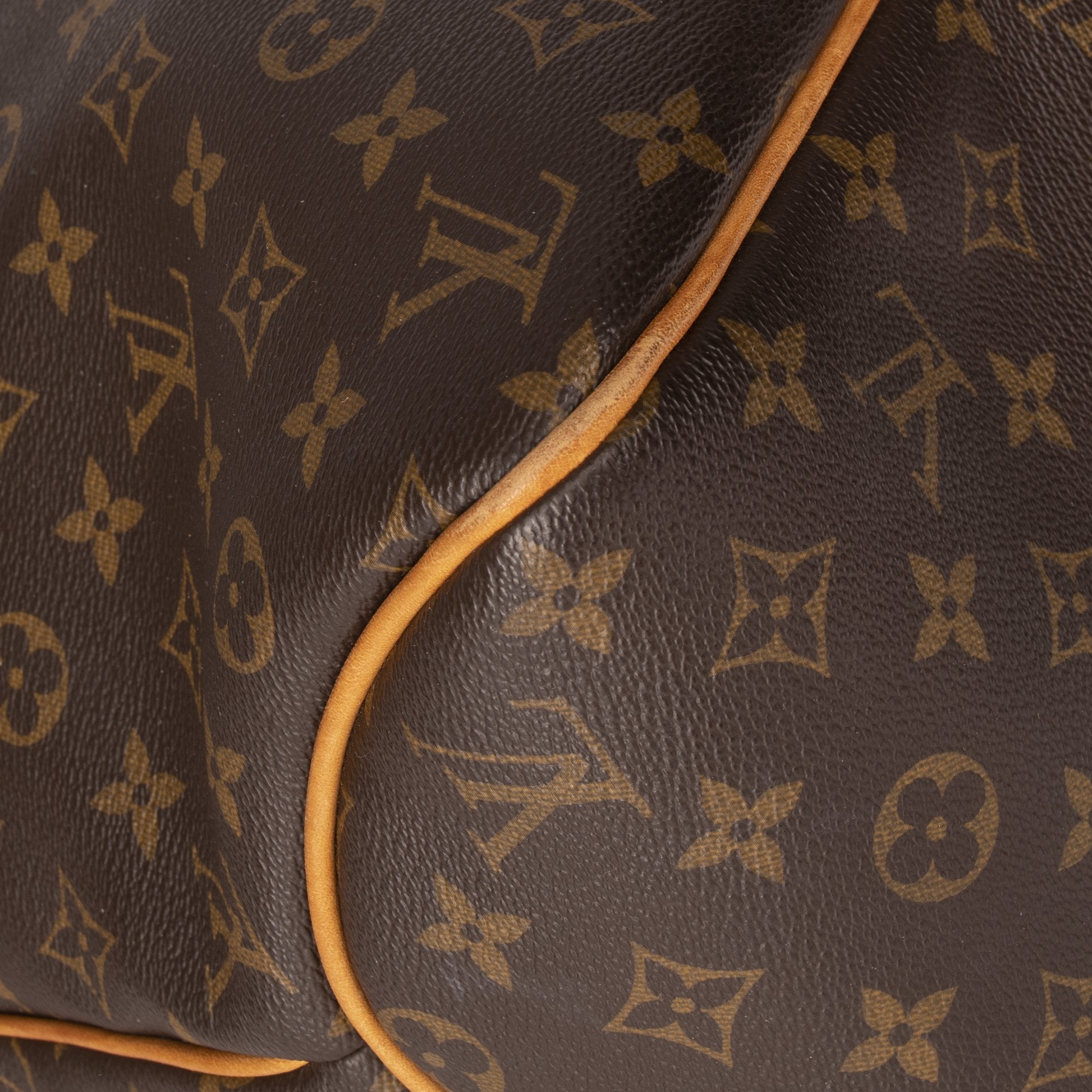 Louis Vuitton Monogram Delightful MM