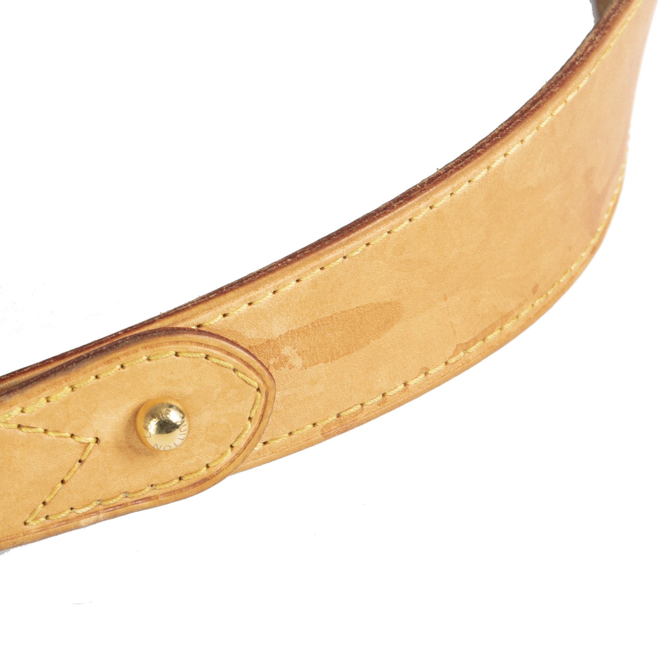 Louis Vuitton Monogram Delightful MM