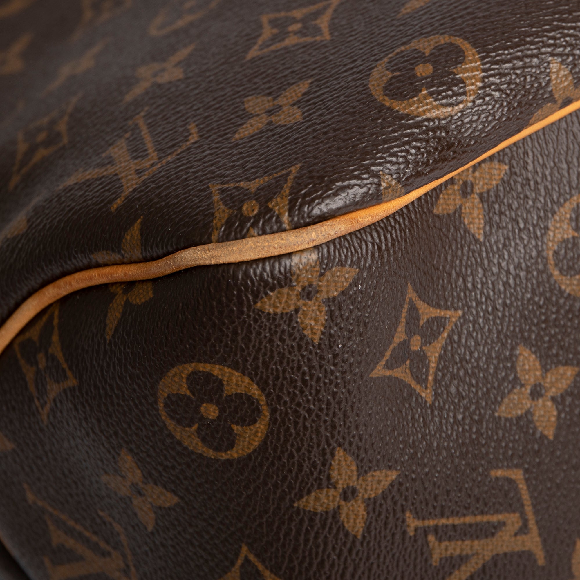 Louis Vuitton Monogram Delightful PM
