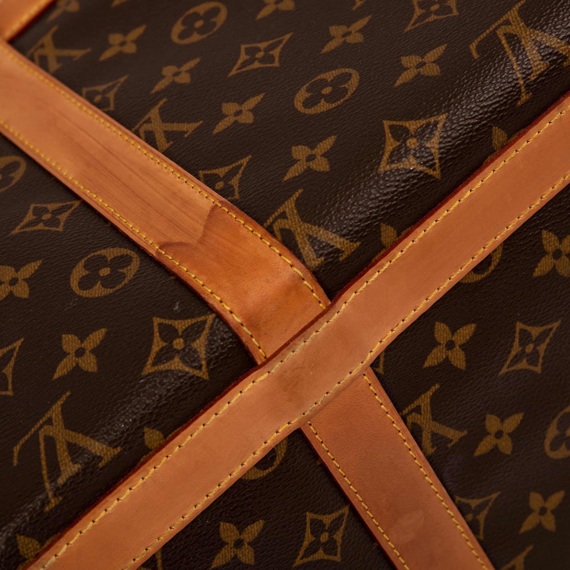 Louis Vuitton Monogram Dog Carrier 40