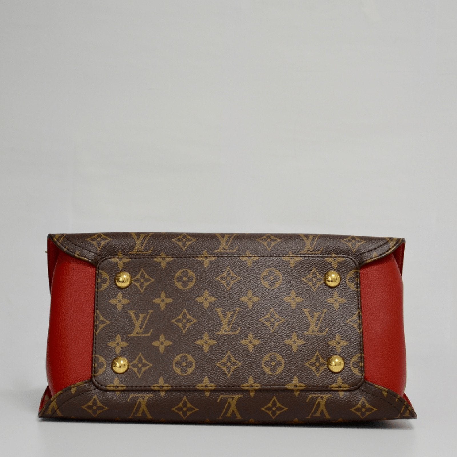 Louis Vuitton Monogram Gaia Bag