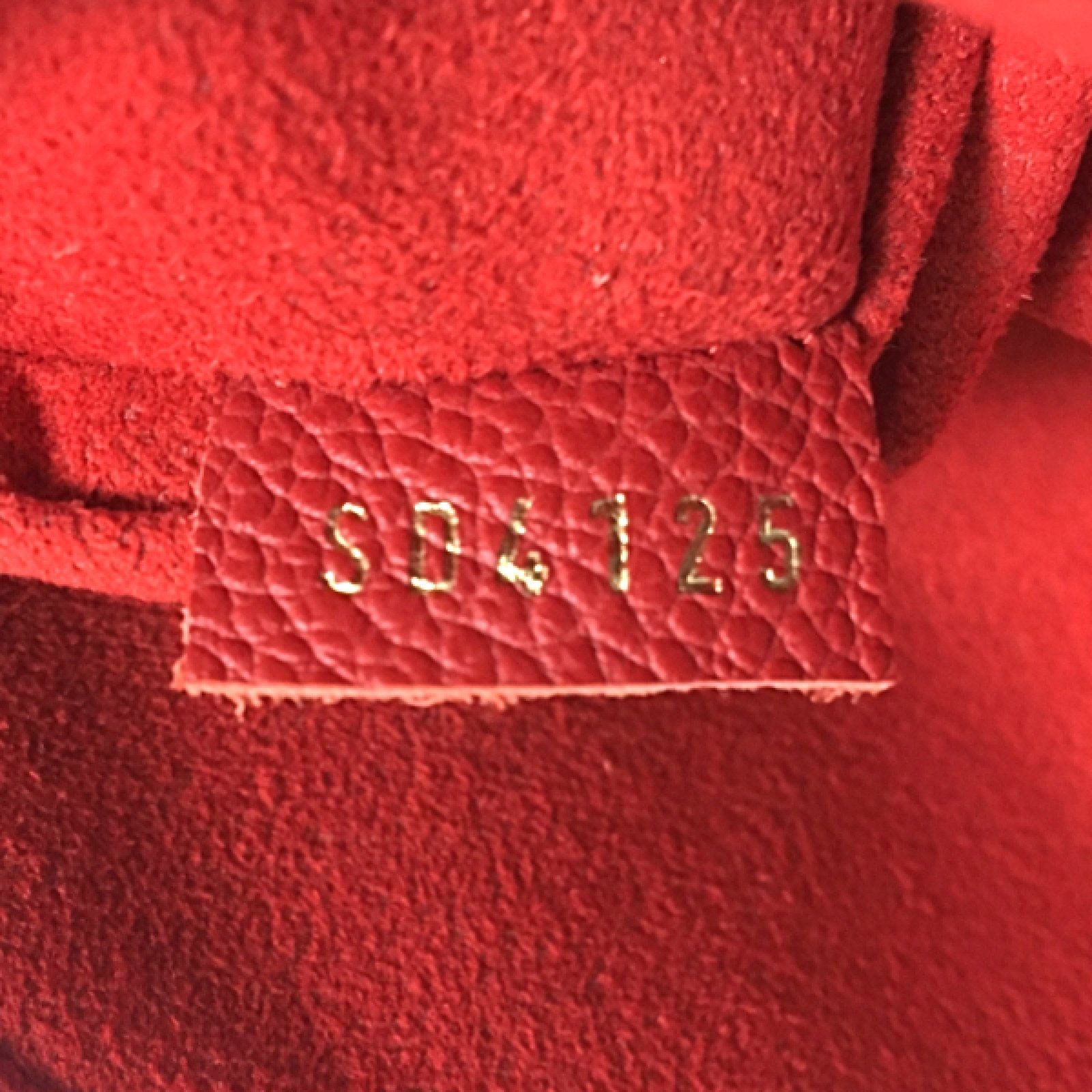Louis Vuitton Monogram Gaia Bag