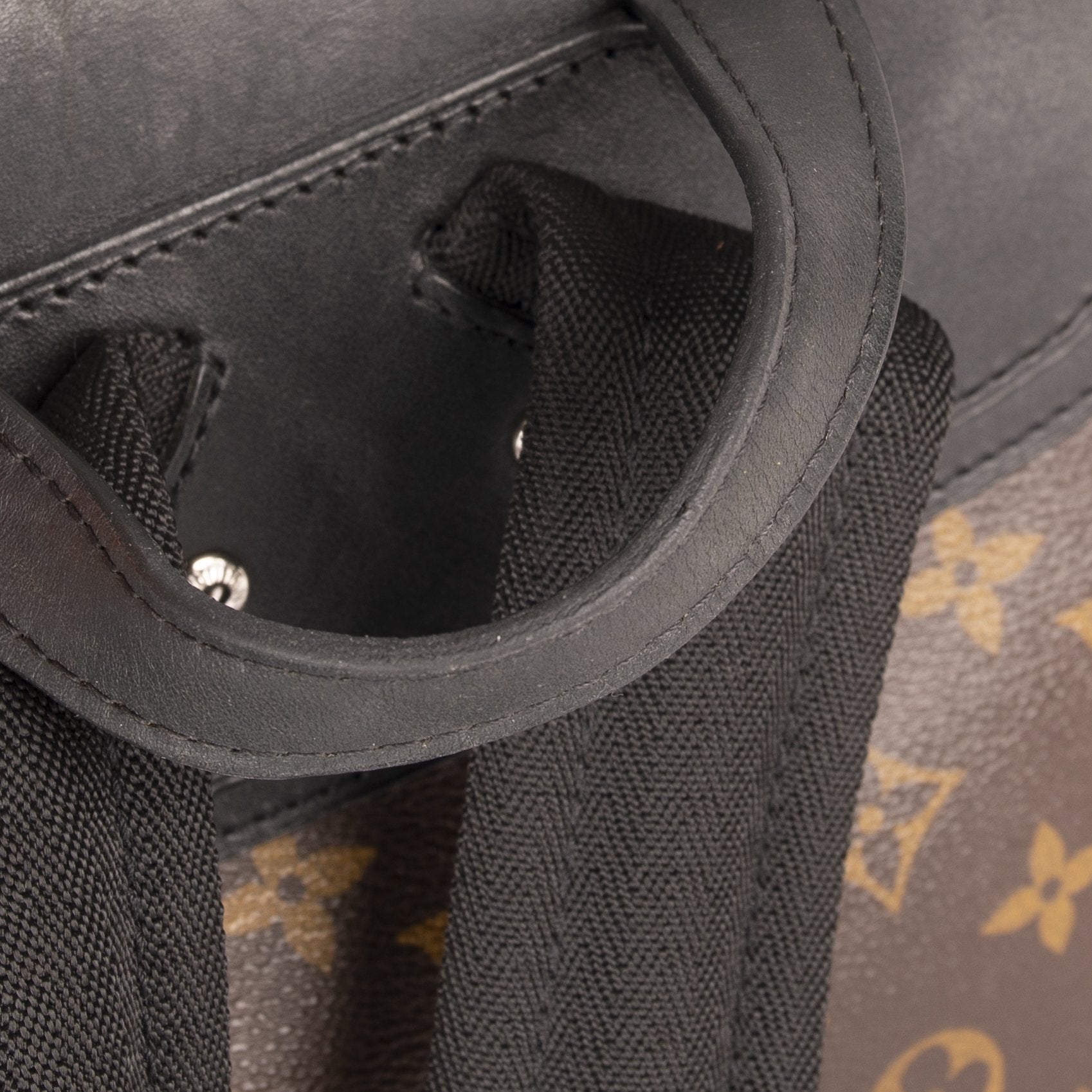 Louis Vuitton Monogram Macassar Palk Backpack